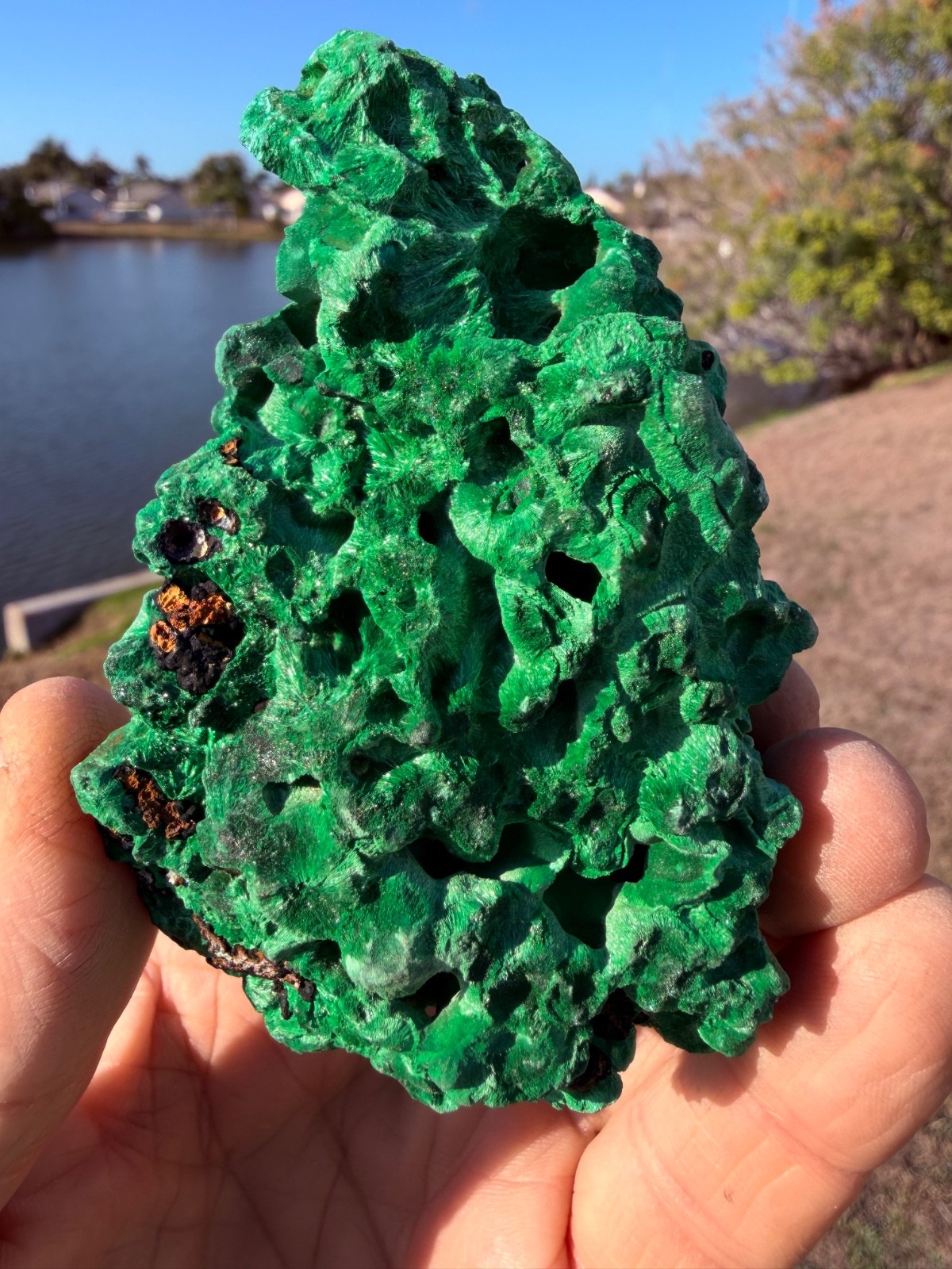 AA 239G Natural Raw Malachite cluster rough mineral 4