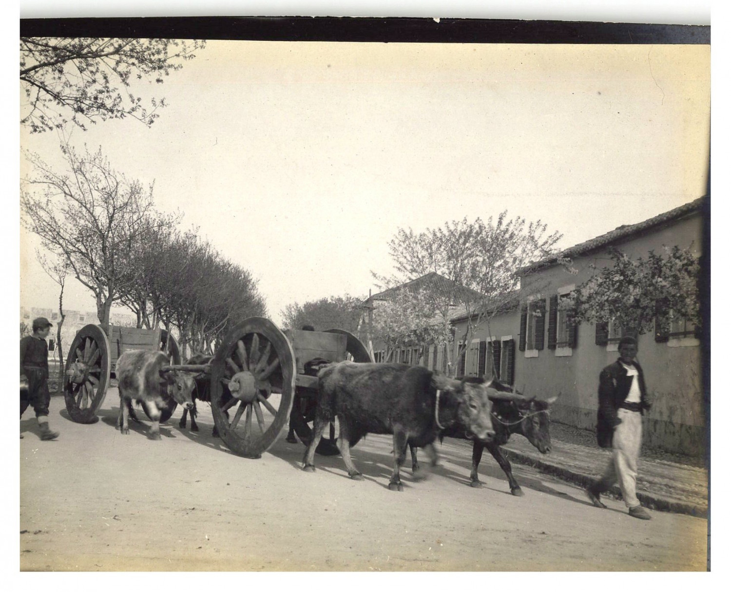Montenegro, Podgorica, Street scene, farmers Original vintage print.  print 
