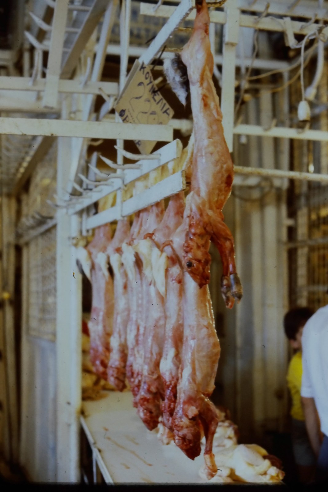c1970's 35mm Slide, Butcher Shop Hanging Meat ΚΡΕΟΠΩΛΕΙΟ Greek Sign Color Photo