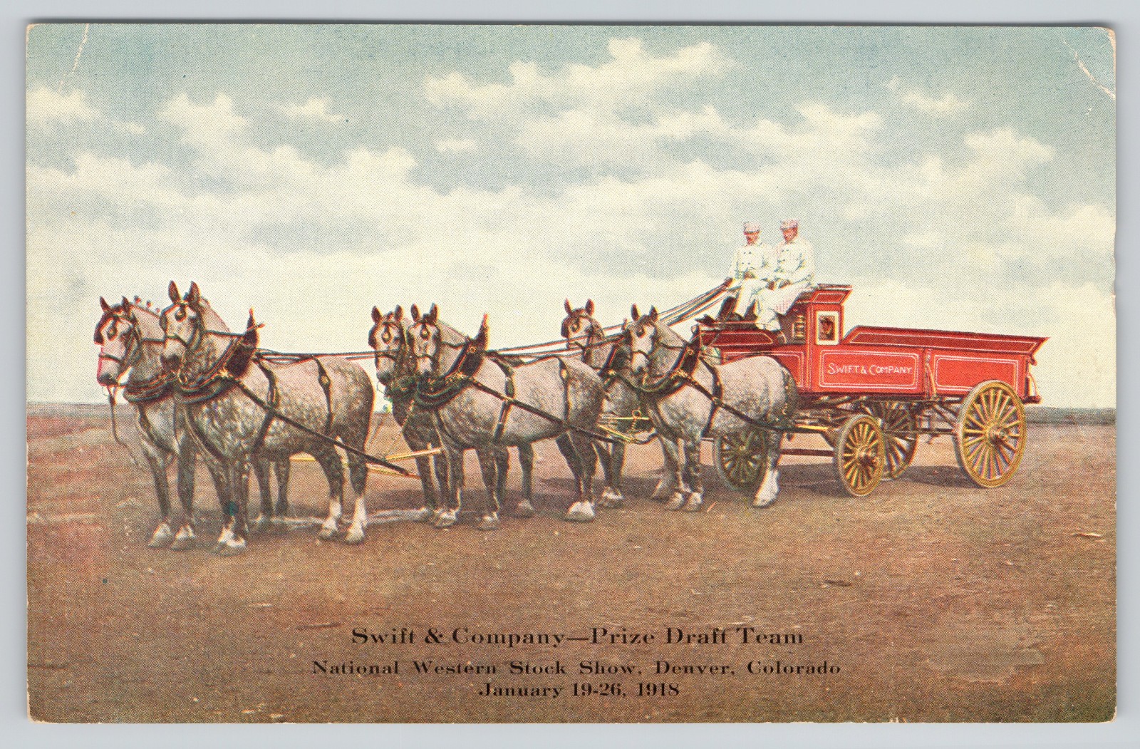 Denver CO Postcard Swift & Company Prize Draft Team National Western Stock Show