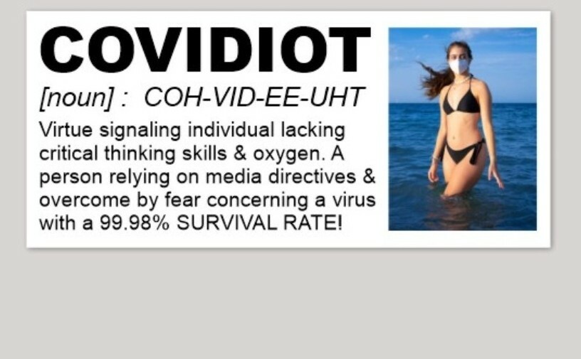 COVIDIOT Sticker GOV-DID FRAUD SHEEPLE 5