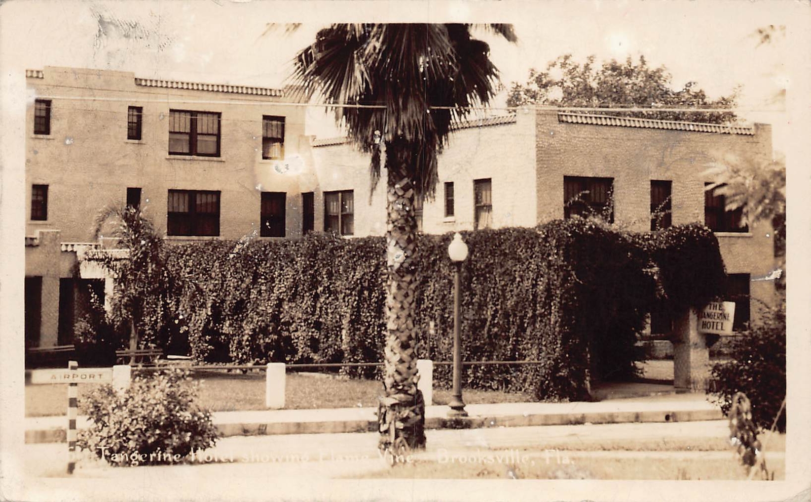 J82/ Brooksville Florida RPPC Postcard c1930s Tangerine Hotel Building 332 J82/ Brooksville Florida RPPC Postcard c1930s Tangerine Hotel Building 332