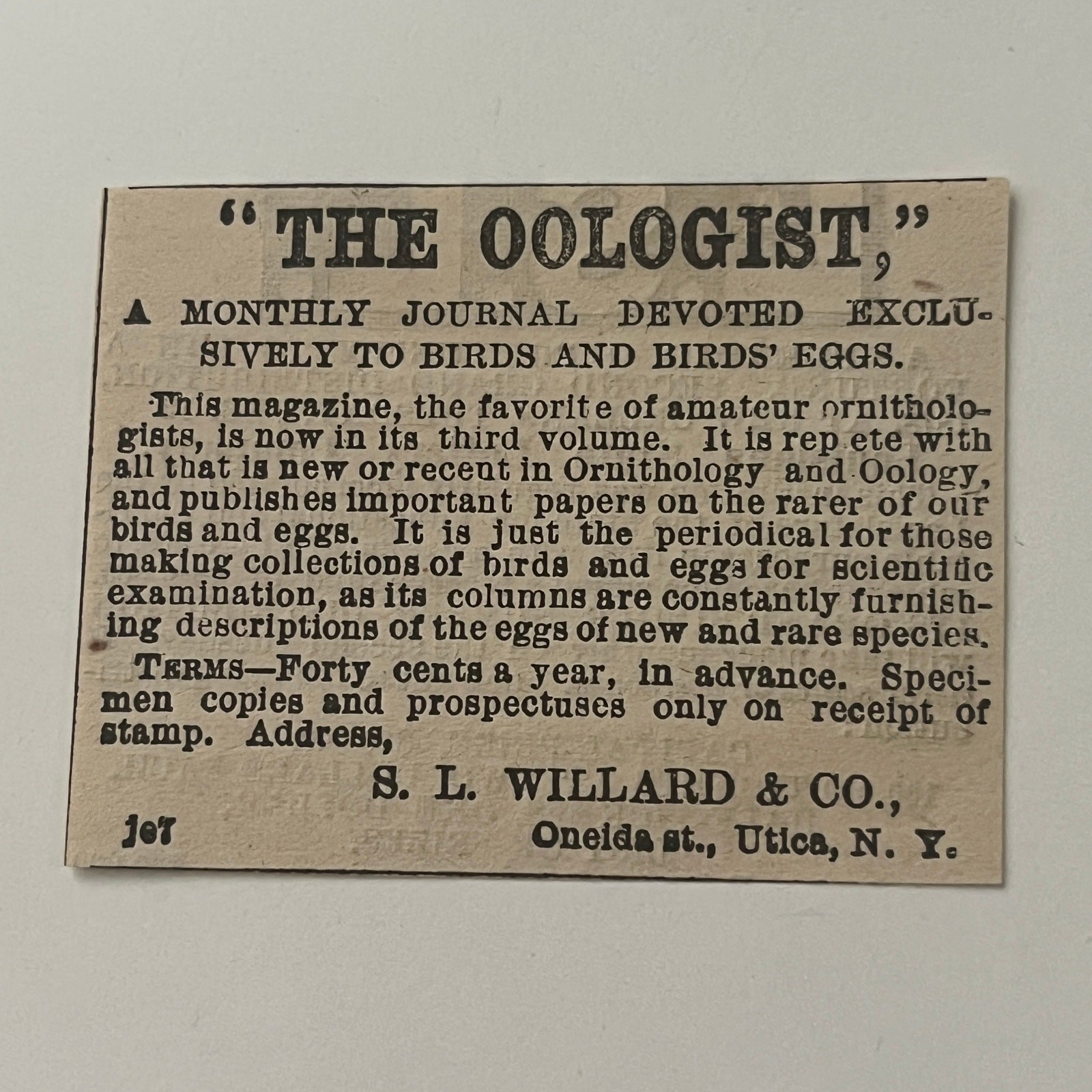 SL Willard & Co The Oologist Monthly Journal Utica NY 1878 Clipping SAI4-S51
