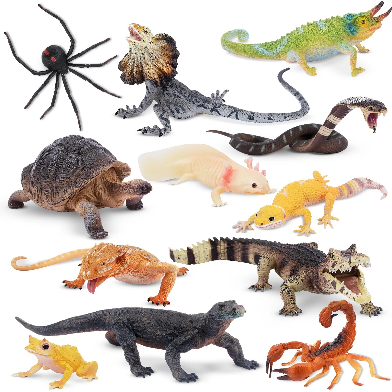 Toymany 12pcs  Reptile Animal Figurine Realistic Collectible Handpainted Toy Set