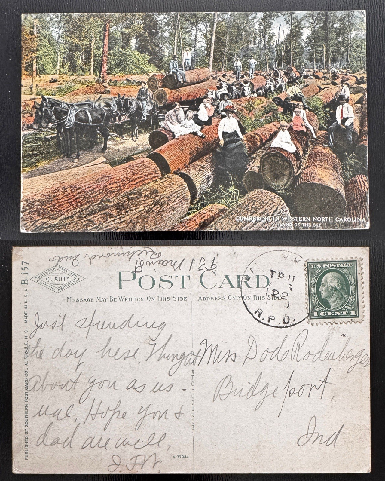 1913 Lumbering in Western North Carolina Land of Sky Logging Mule Teams NC B4