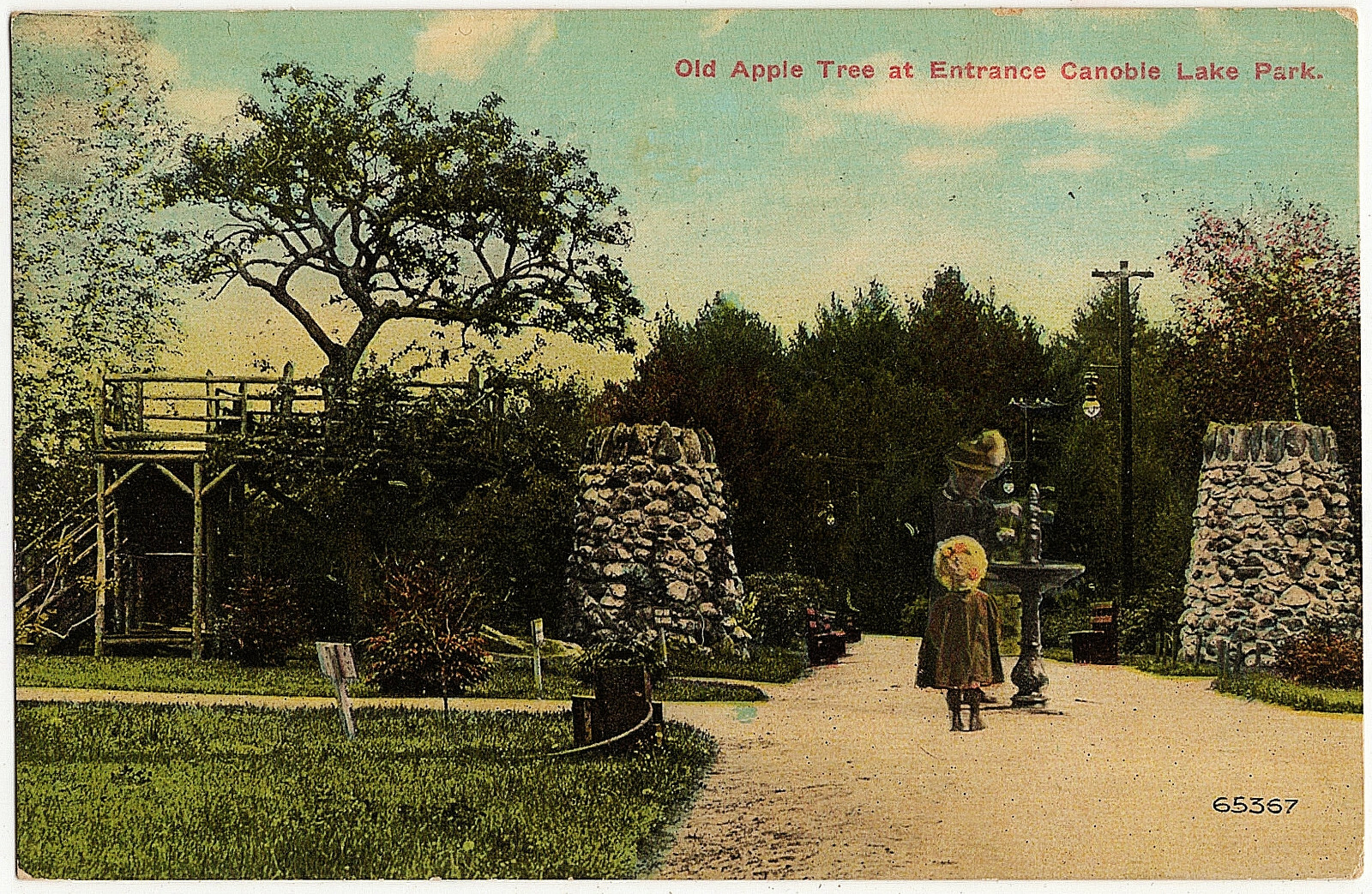 1911 Salem NH Postcard Old Apple Tree at Entrance of Canobie Lake Park DB RARE