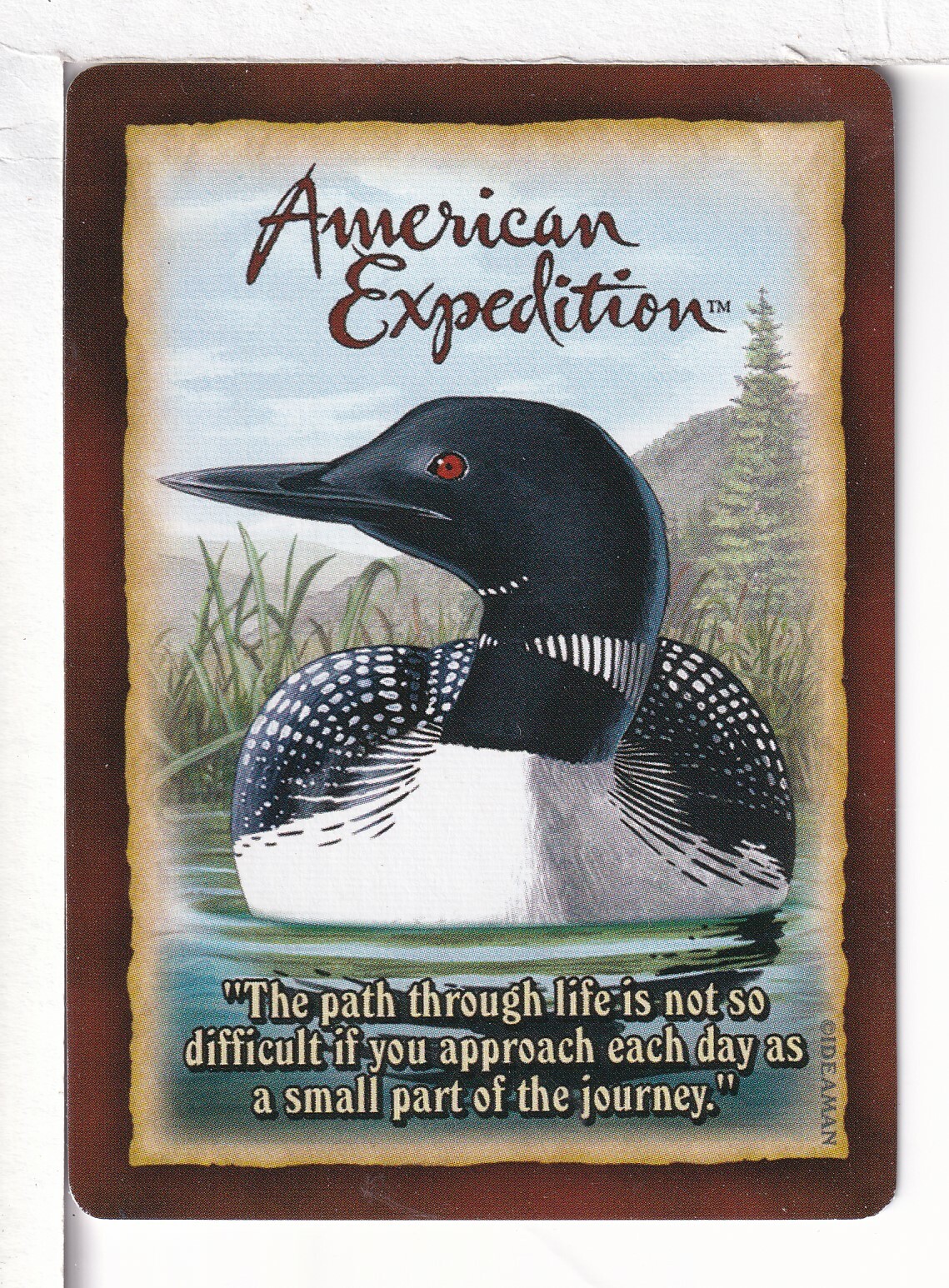 Single Playing Card 