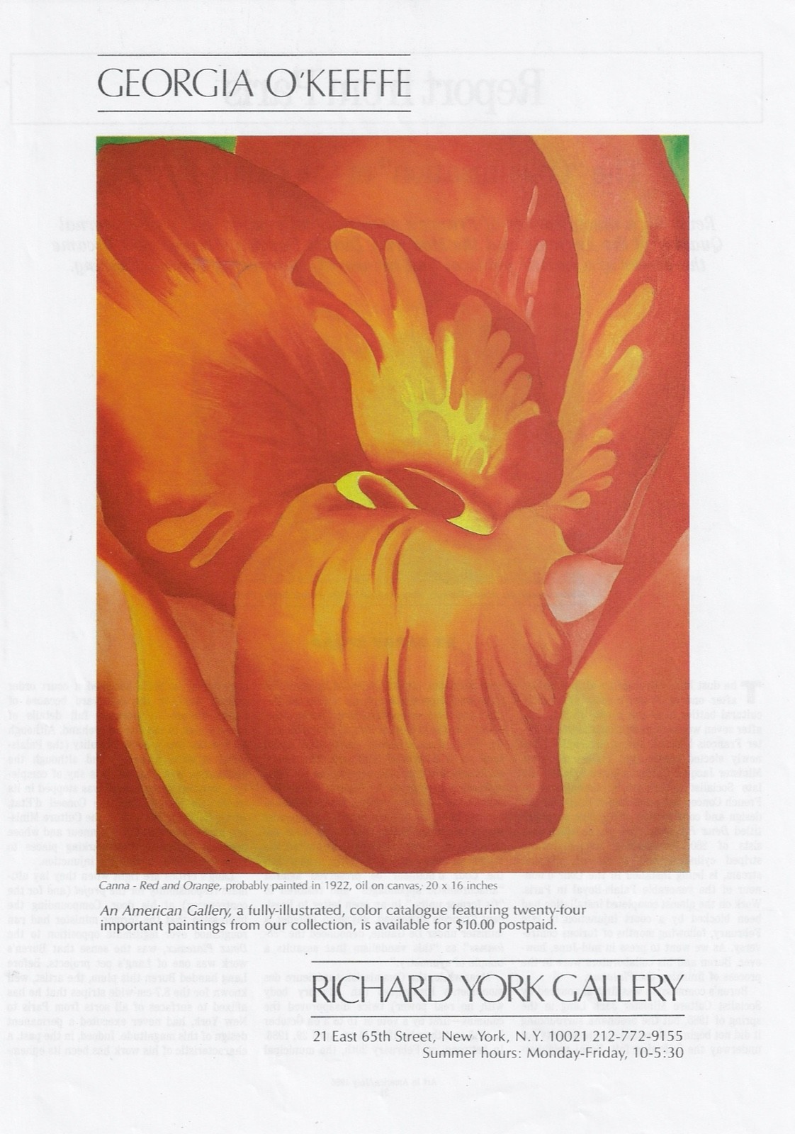 GEORGIA O' KEEFFE c1922 Red & Orange Canna Art Gallery 1986 Print Ad