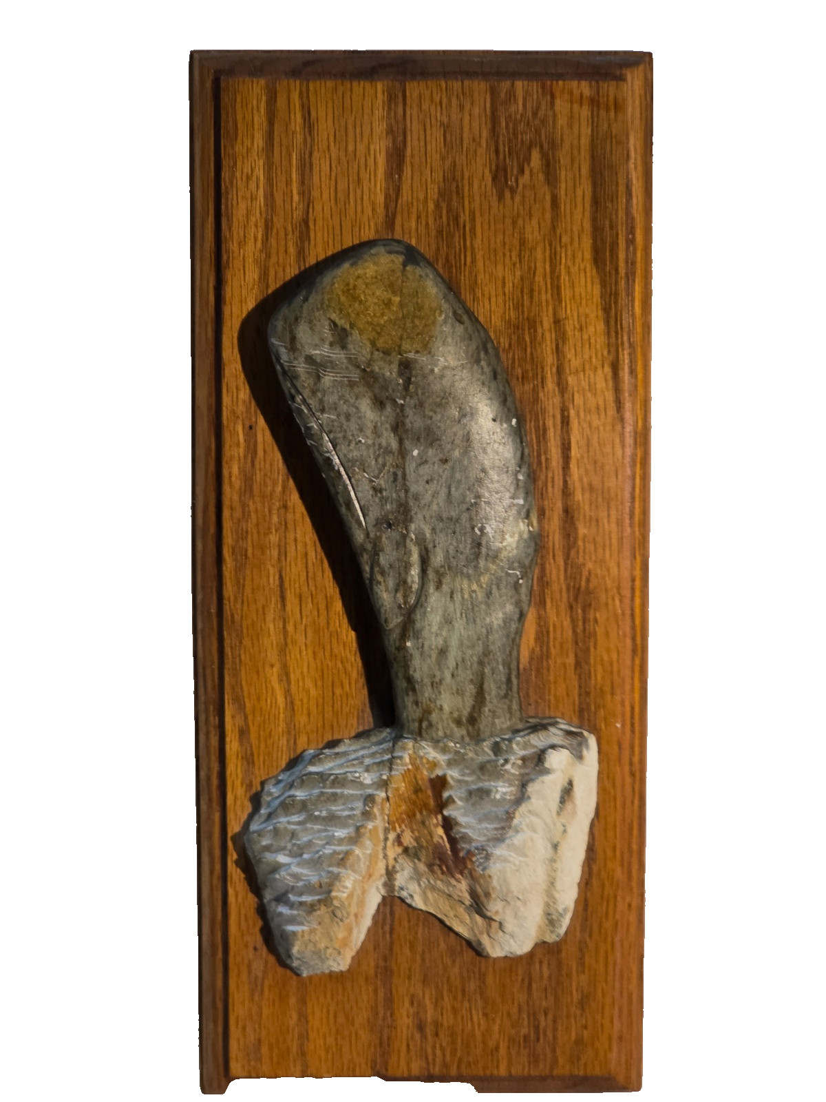 Hand-Carved Alaska Soapstone Whale Plaque  – Signed D. Potter – Alaska®