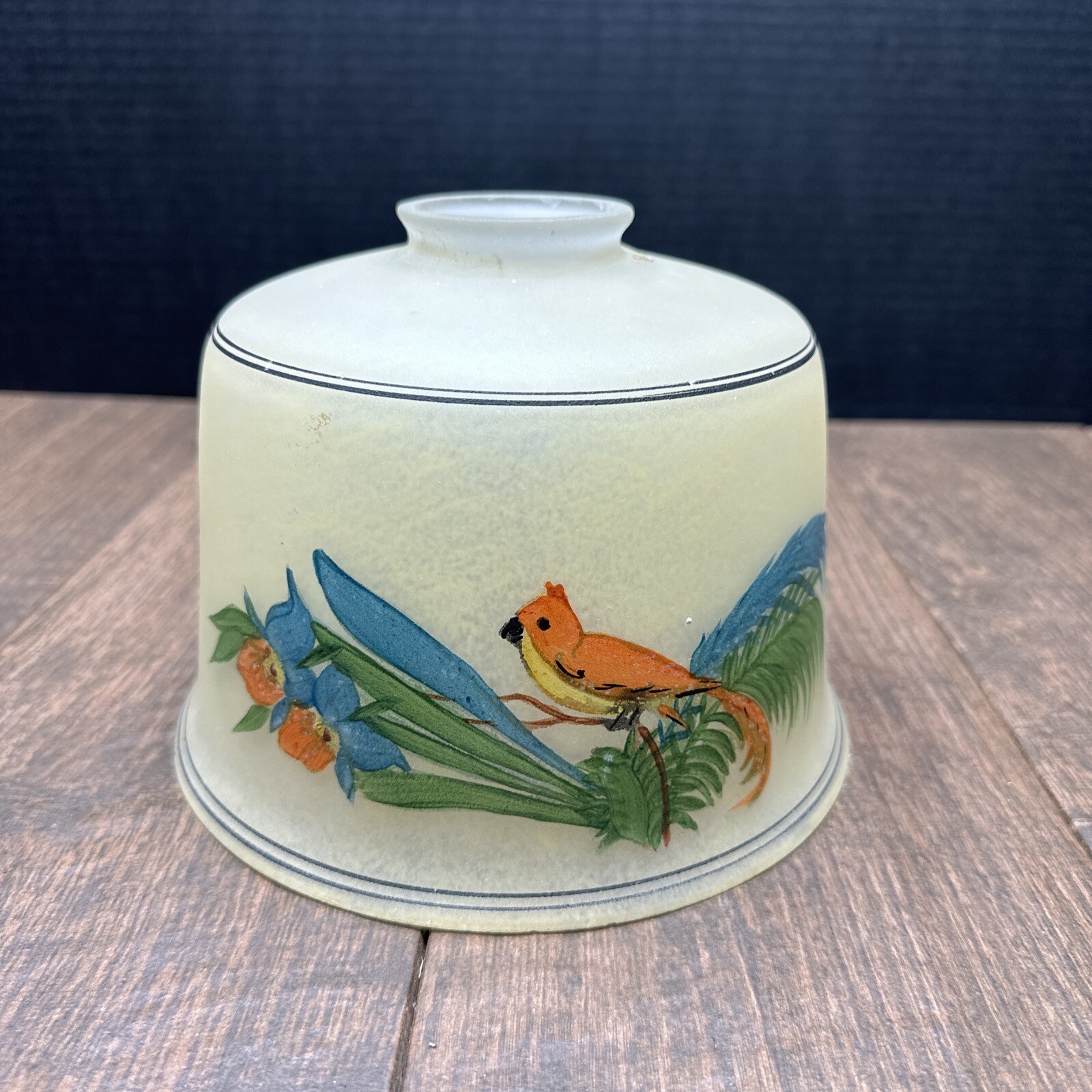 Vintage  Hand Painted Frosted Glass Bird  Ceiling Light Globe