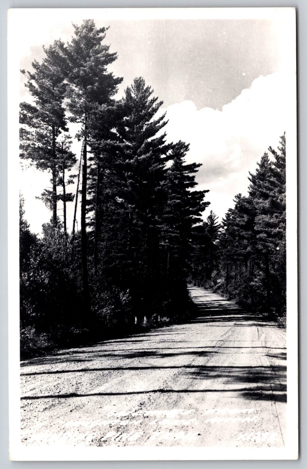 Greetings from Houghton Lake Michigan Winding Pine Trail RPPC Postcard PC189