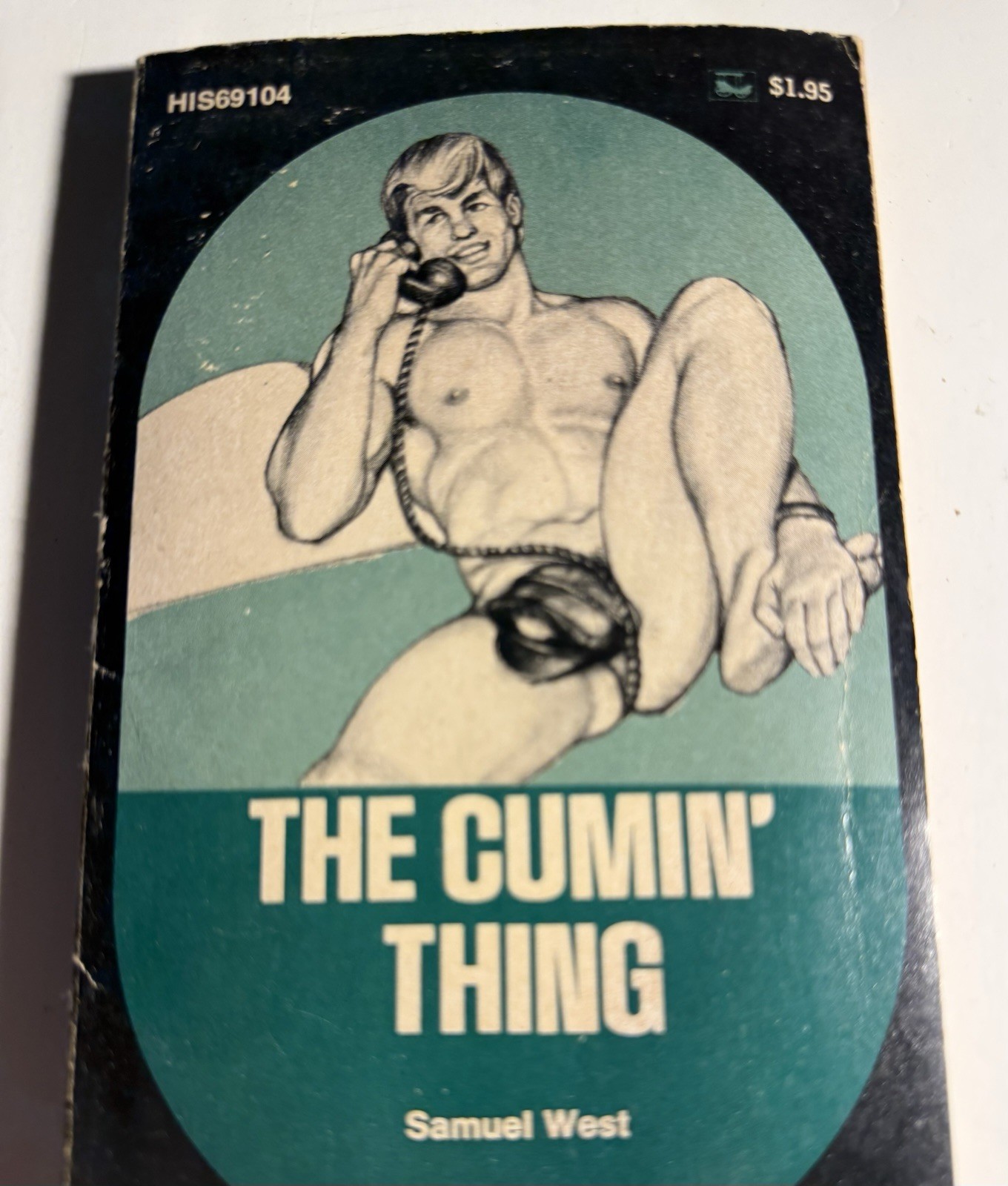 THE COMMON THING - 1974 SAMUEL WEST -SURREY HIS69 VTG PULP NOVEL GAY INTEREST