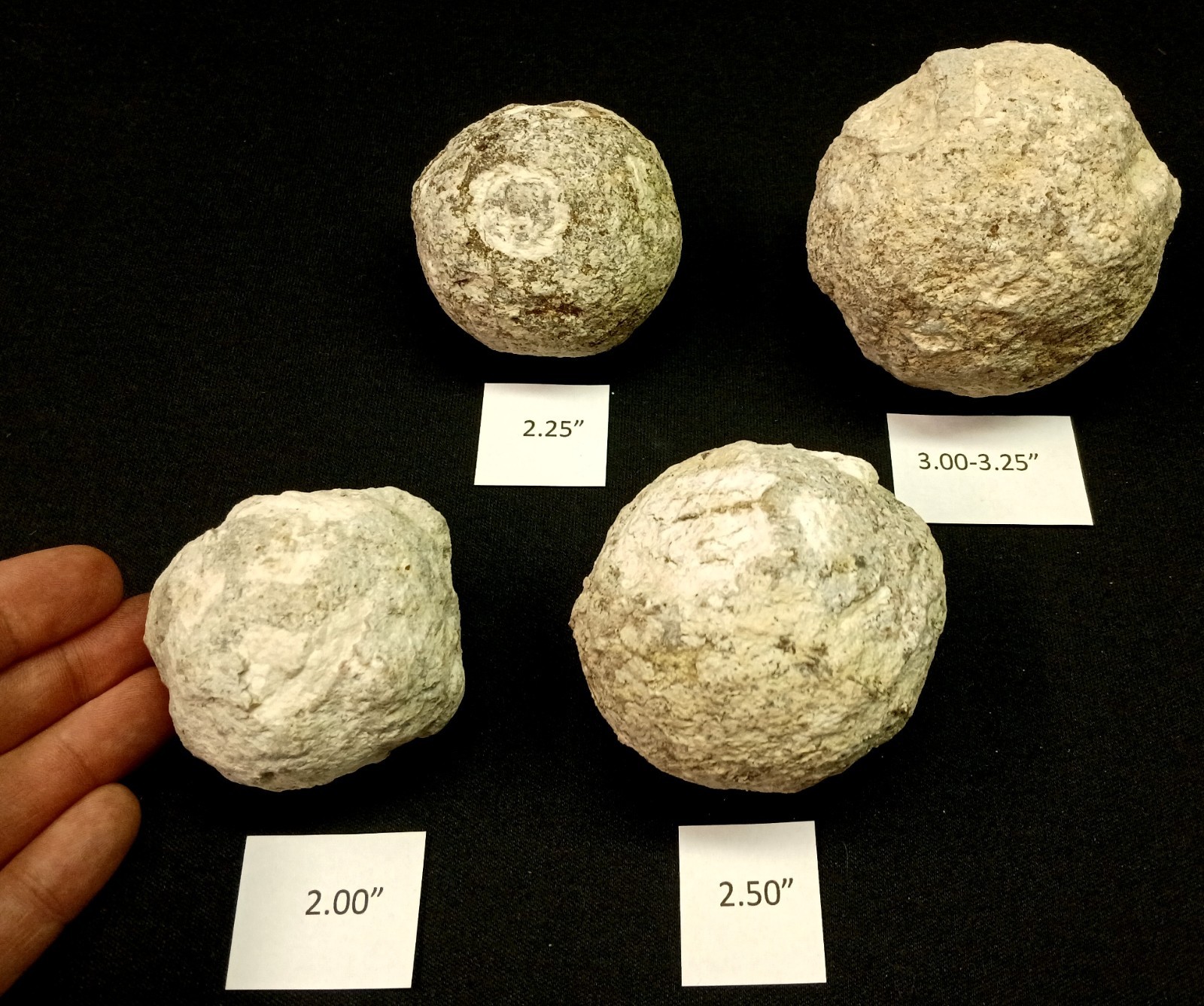 Whole Guaranteed Hollow Colorful Mexican Coconut Choyas Geodes, Mine Direct