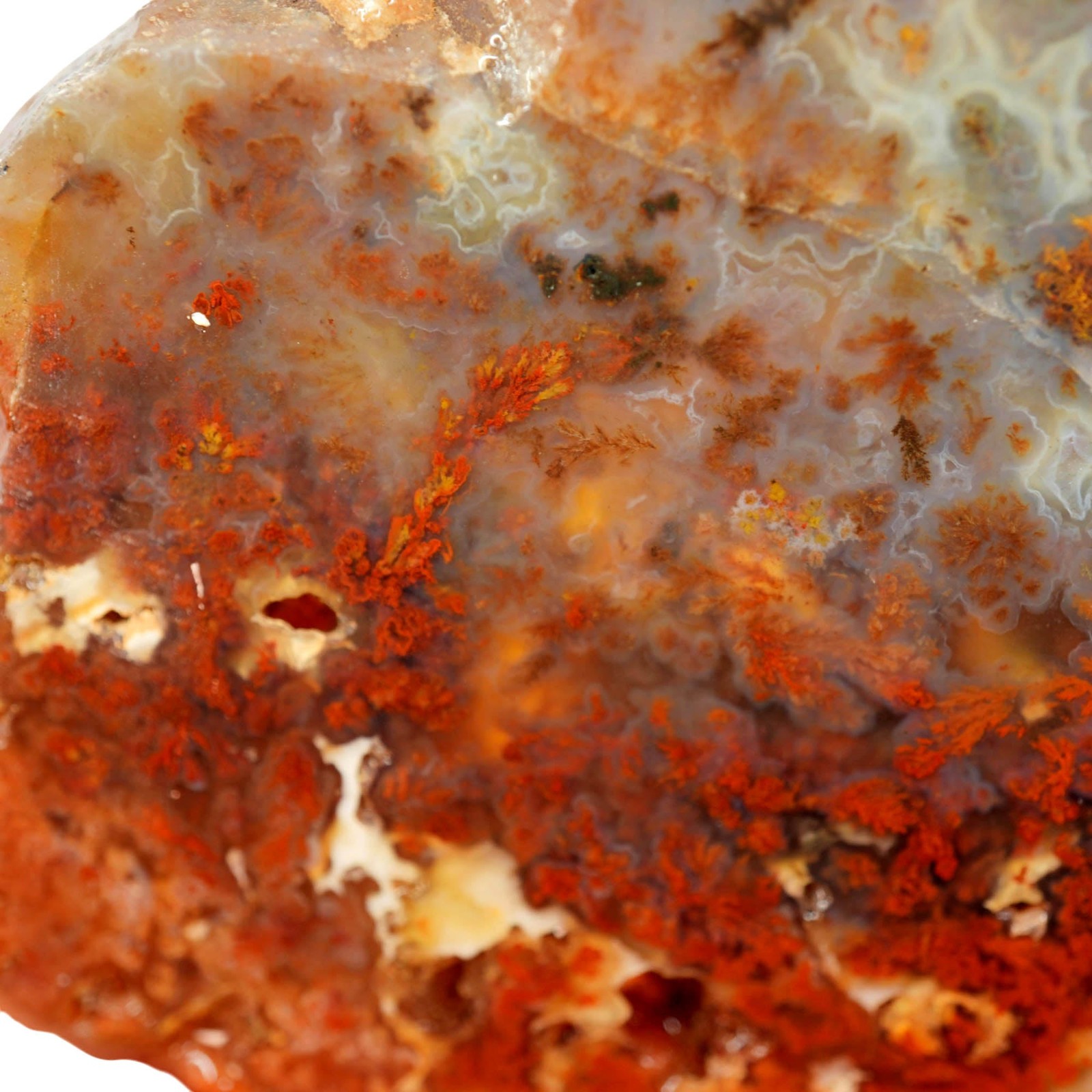 Powell Butte Plume Agate Slab - Black Red Orange Plume Quant Collection