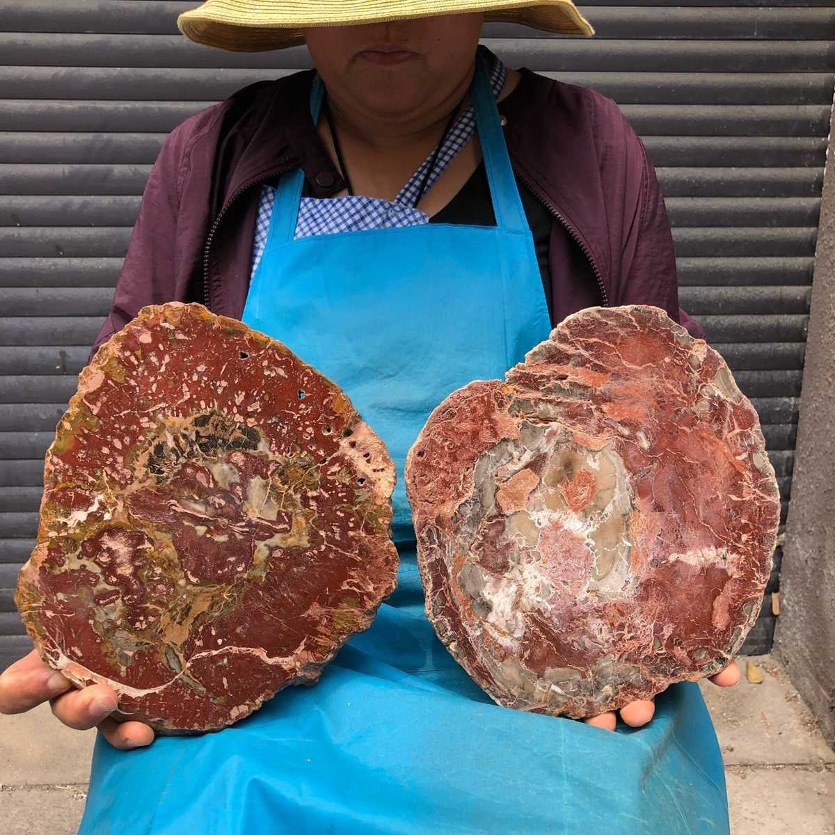 2pcs 6.99 LB Natural Petrified Wood Crystal Fossil Slice Crystal Specimen 6189