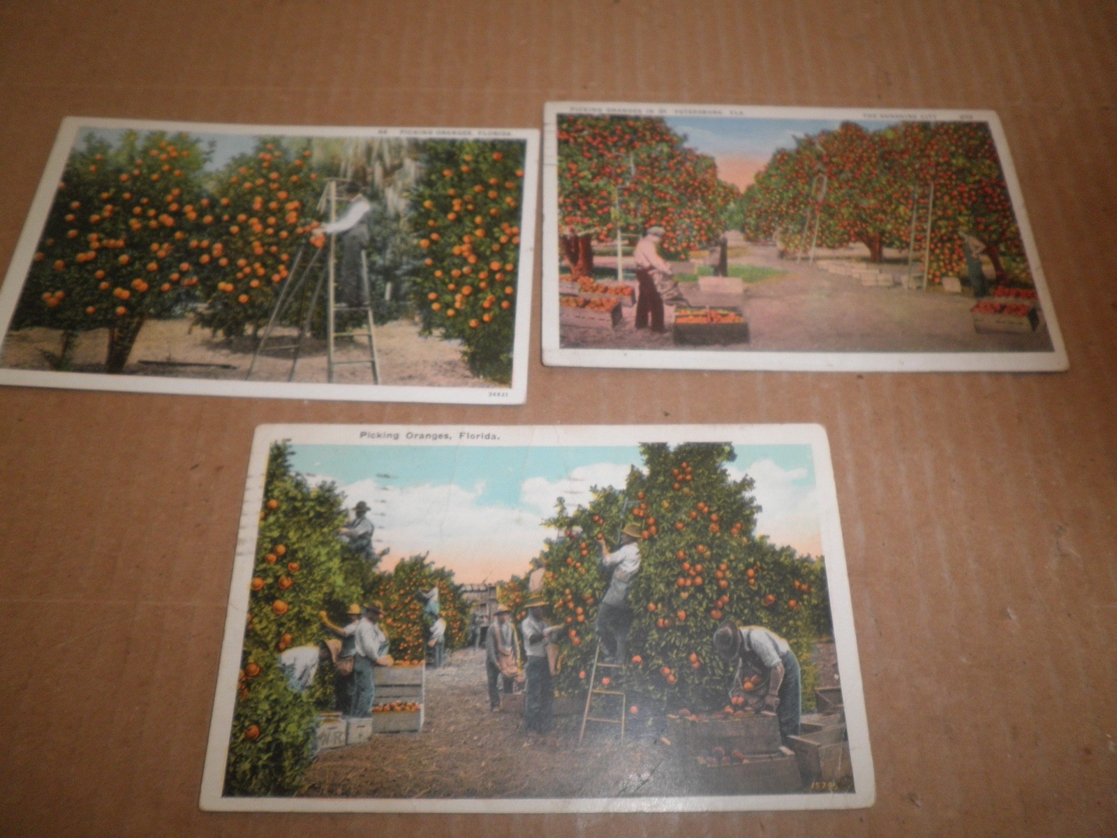 Three old original Florida Orange Themed Postcards 1920\'s - 1930\'s