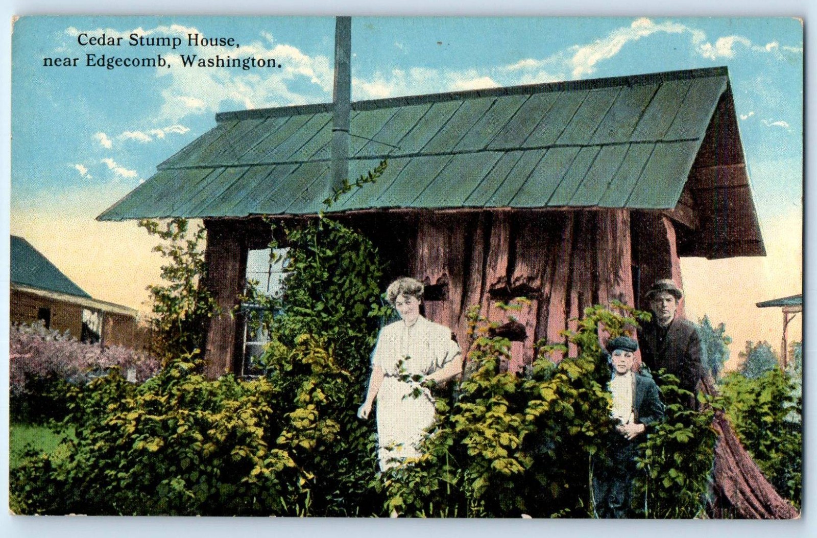 c1930\'s Cedar Stump House Near Edgecomb Washington WA Vintage  Postcard