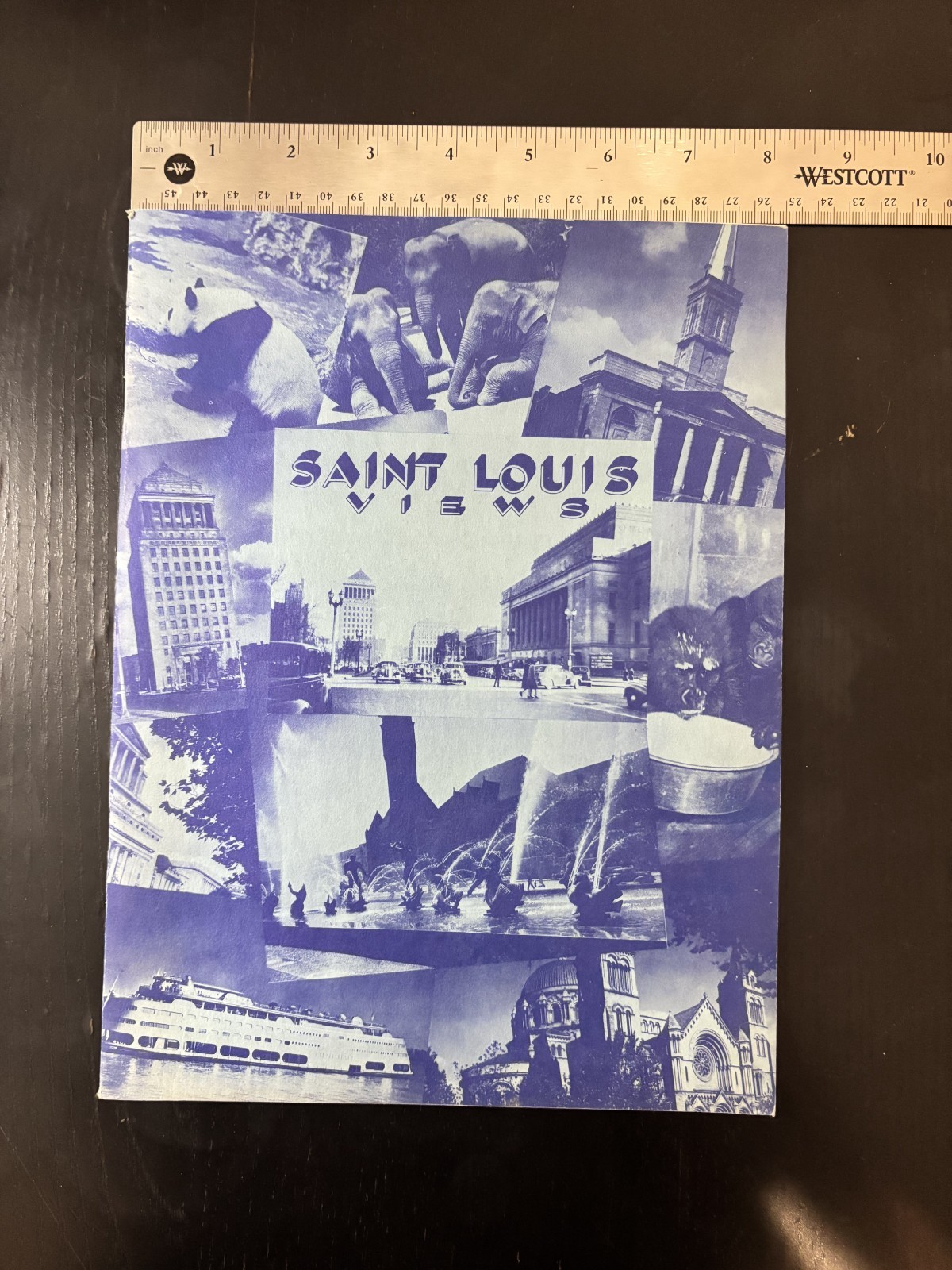 EXCELLENT 1930s Saint Louis Photo Book St Louis Zoo Washington University Rare