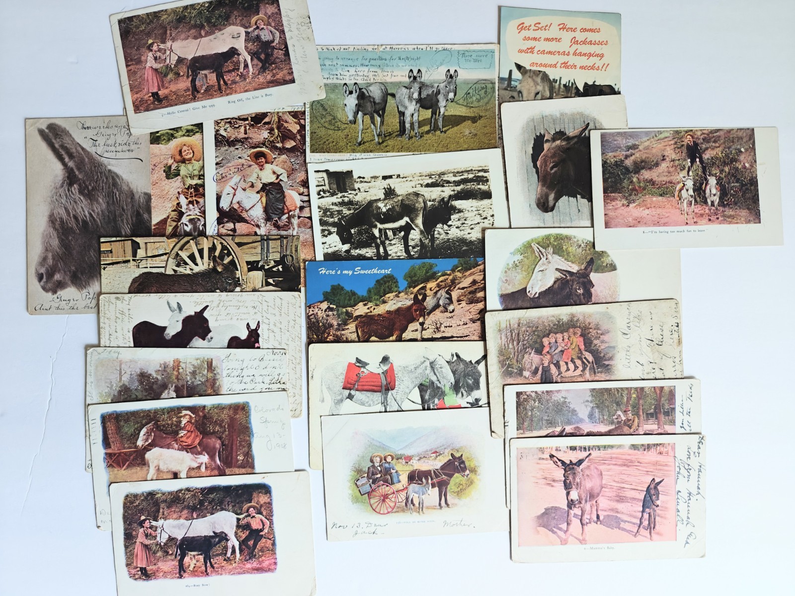 Lot (21) Donkey Postcards 1905-60s Burro Mules Mexico Colorado Kansas UDB Posted