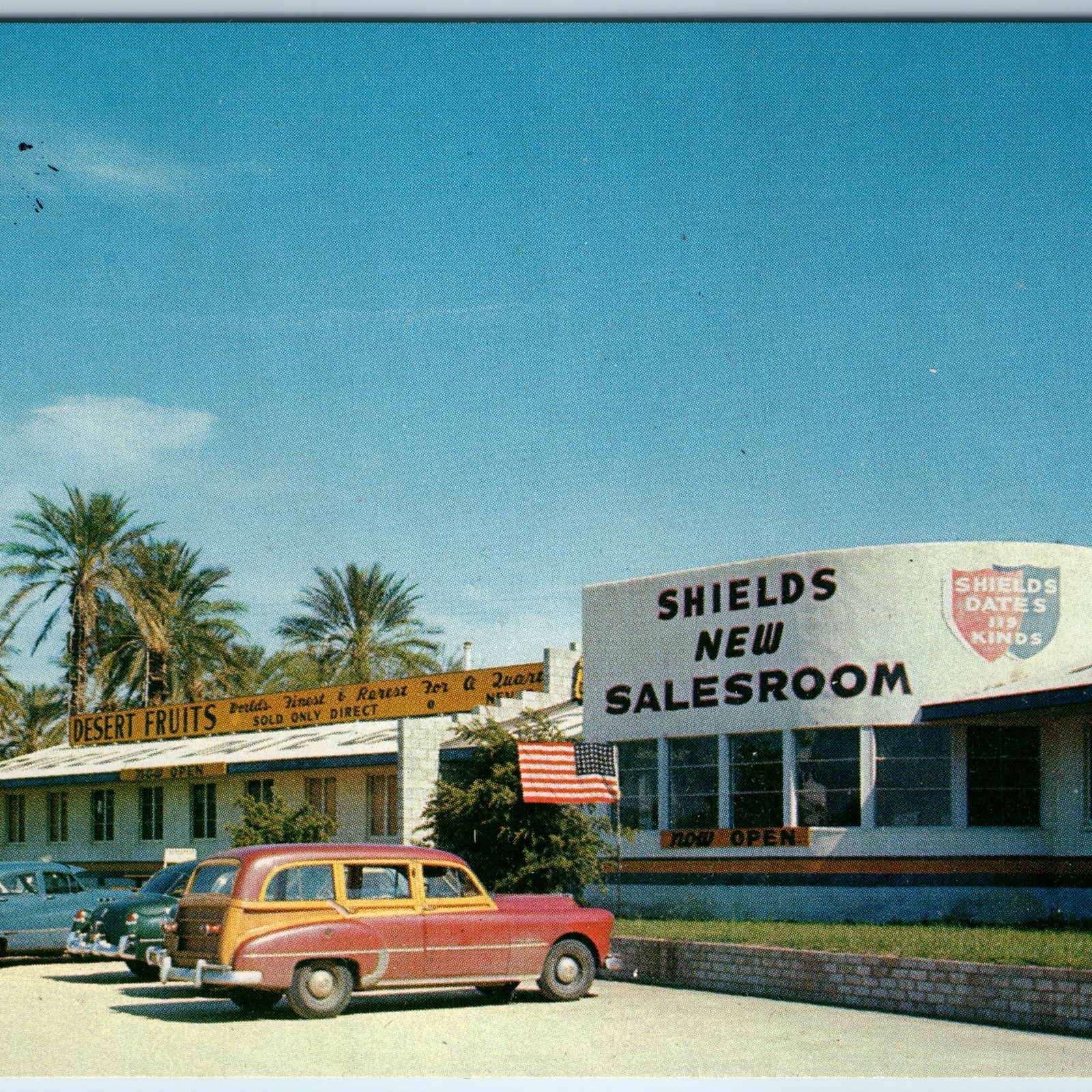 c1950s Indio CA Shields Date Garden Postcard Salesroom Woodie Station Wagon PC