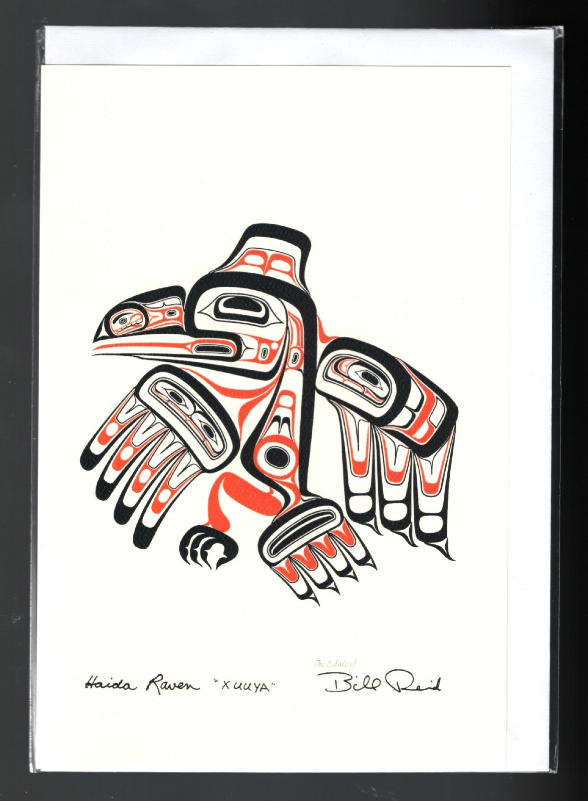 West Coast Haida Raven 