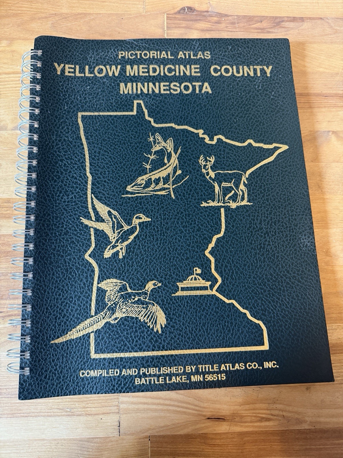 Yellow Medicine County Minnesota Pictorial Atlas Directory Map Photos 2001 Vtg