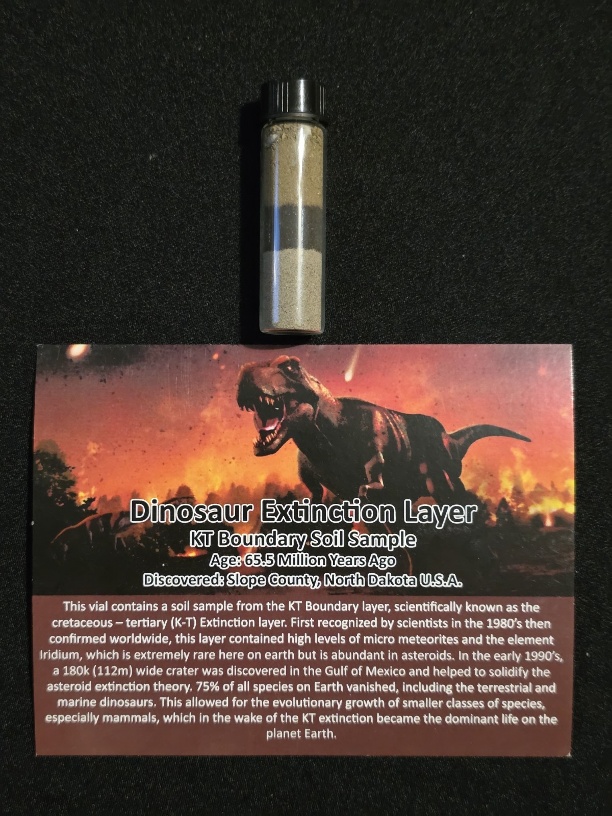 KT boundary specimen North Dakota extinction layer K-Pg Dinosaurs Meteorite
