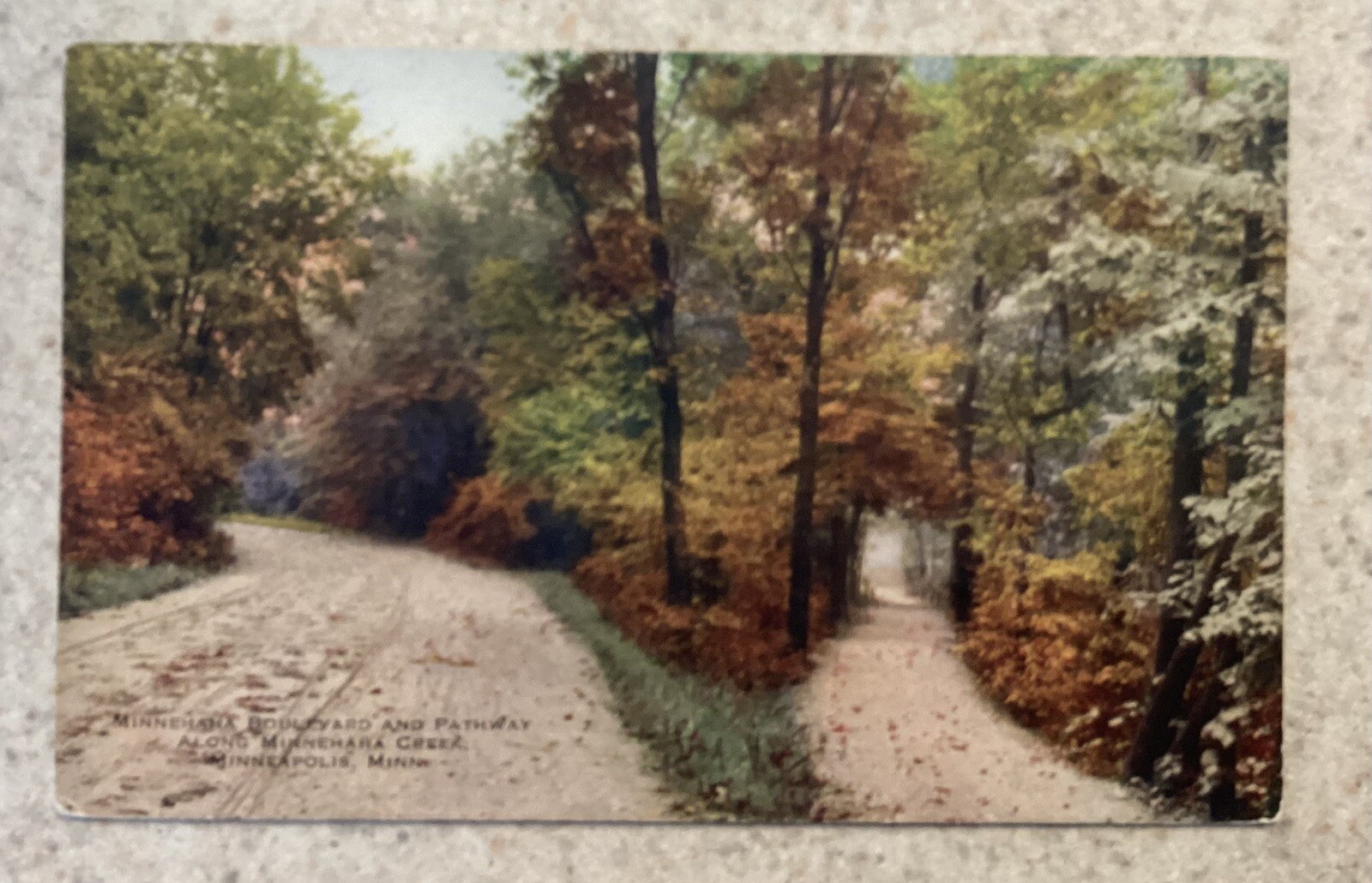 Vintage Minnehaha Boulevard & Pathway Minneapolis Minnesota Postcard Dirt Road