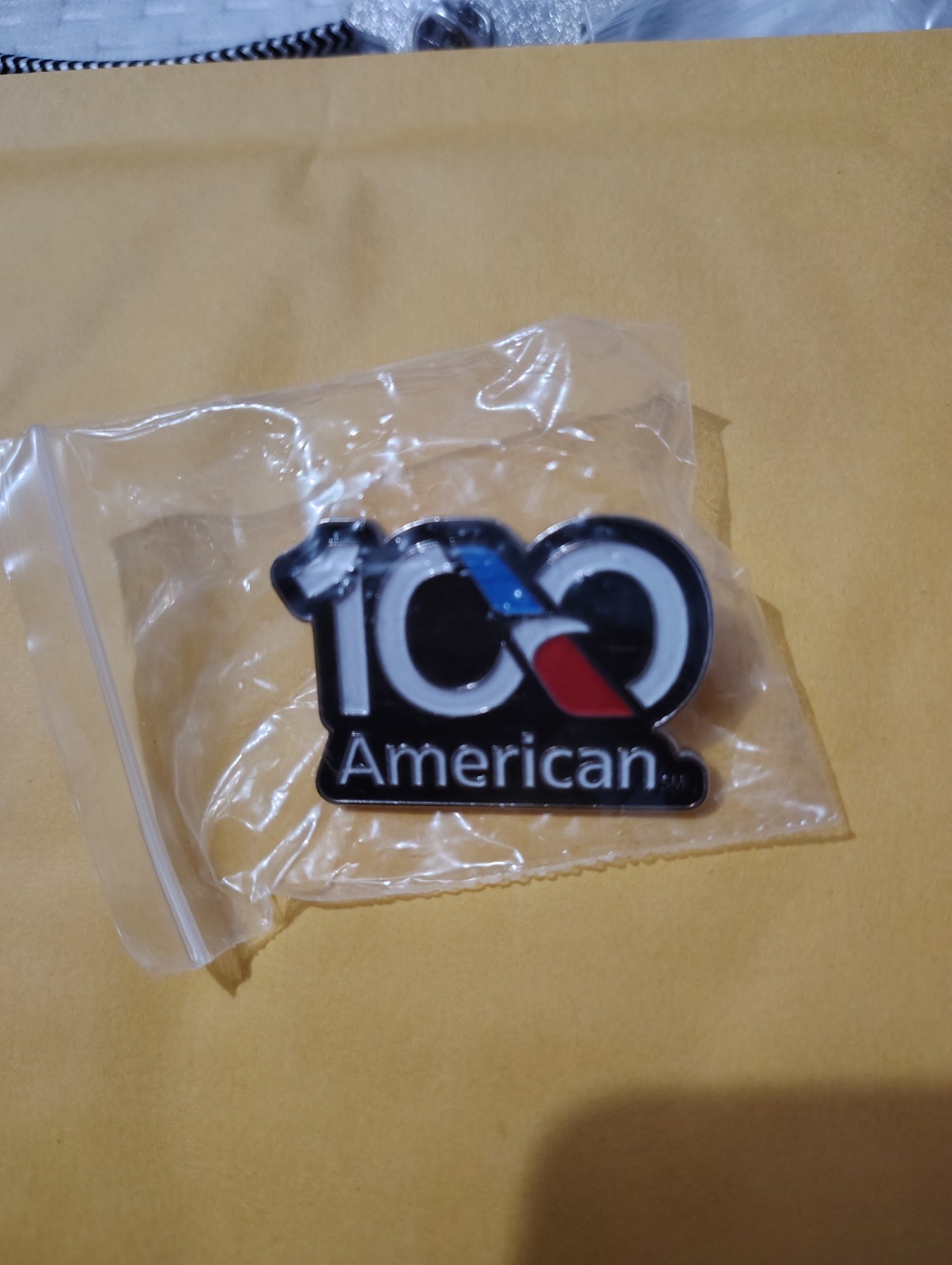 American Airlines 100 Pin