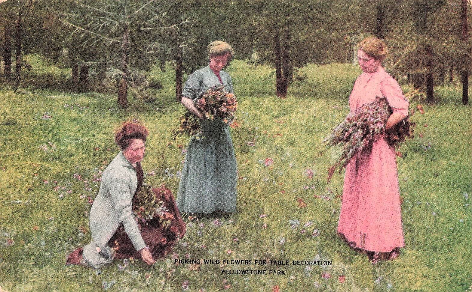 Yellowstone Gardiner Gateway Wild Flowers Railroad Advertising Vtg Postcard G9