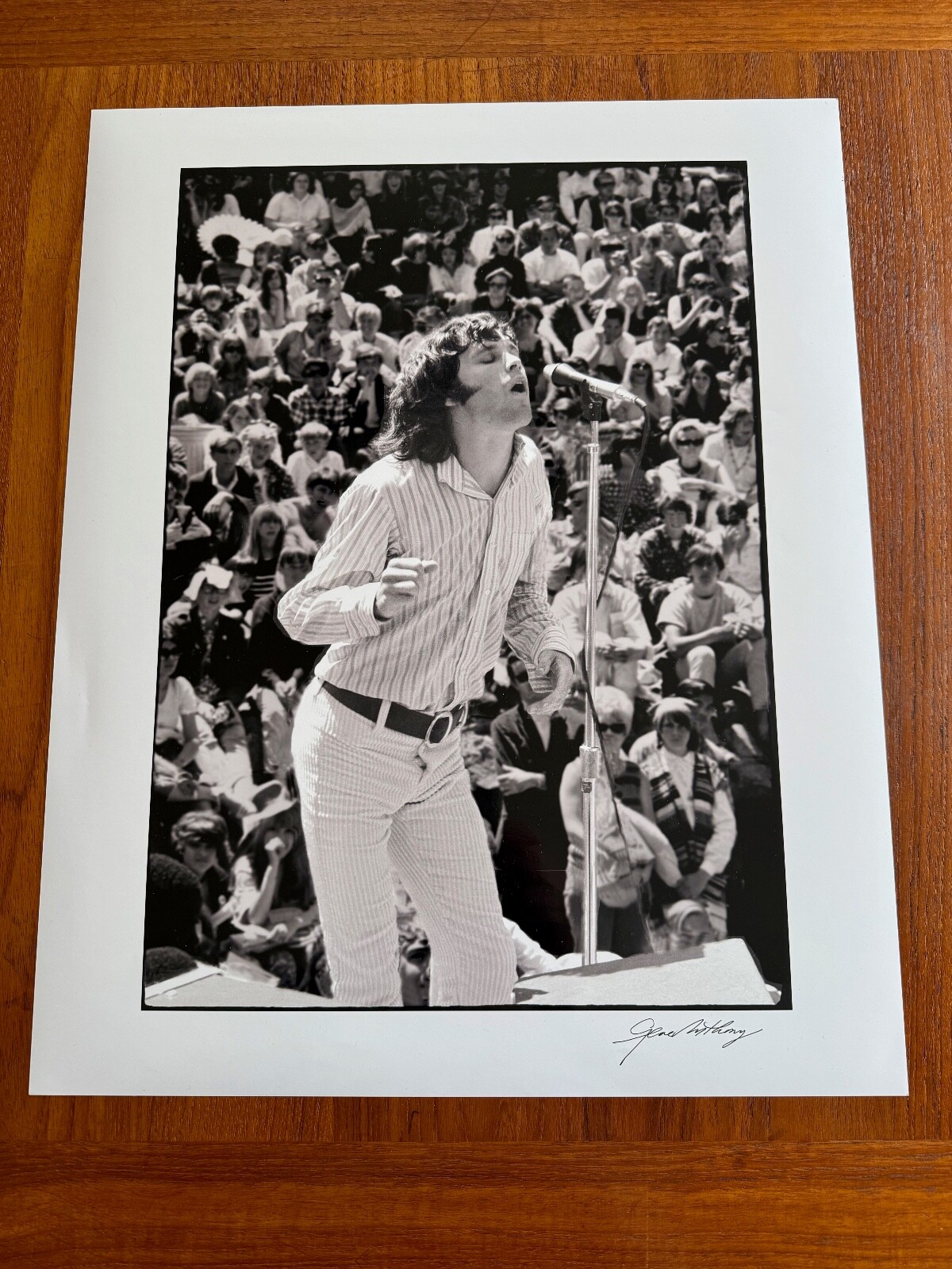 THE DOORS  MT. TAMALPAIS  1967 SIGNED GENE ANTHONY  16 x 20 ORIG PHOTO MORRISON