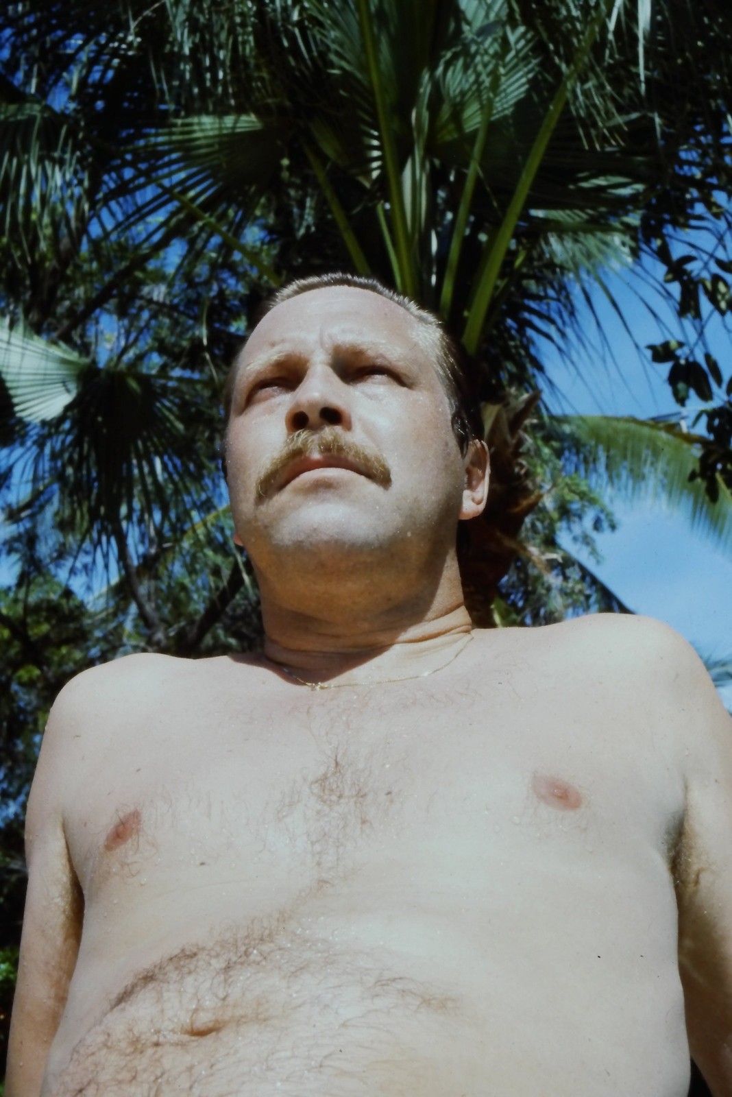 c1970's 35mm Slide, Man Portrait, Palm Tree green blue Tropical Color Photo