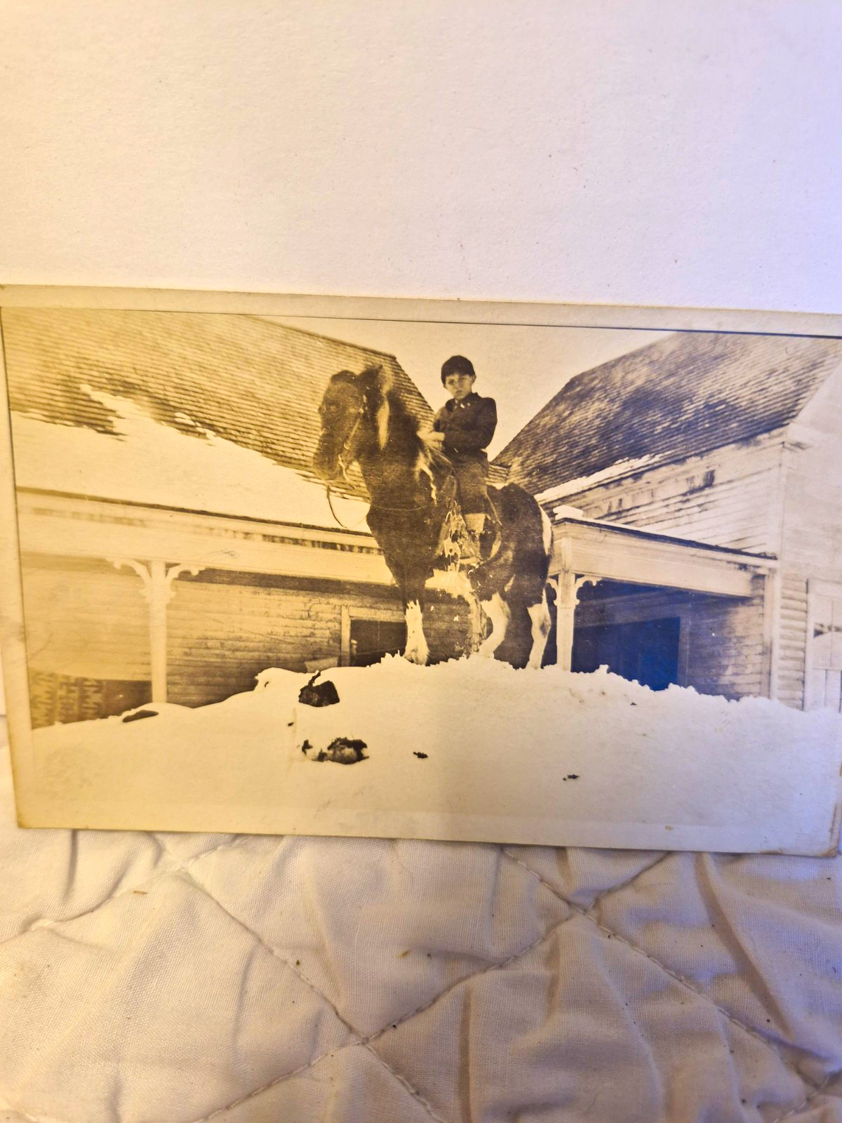 RPPC Undivided Back 1901-1907 Unposted Photo Postcard boy & Horse in Snow