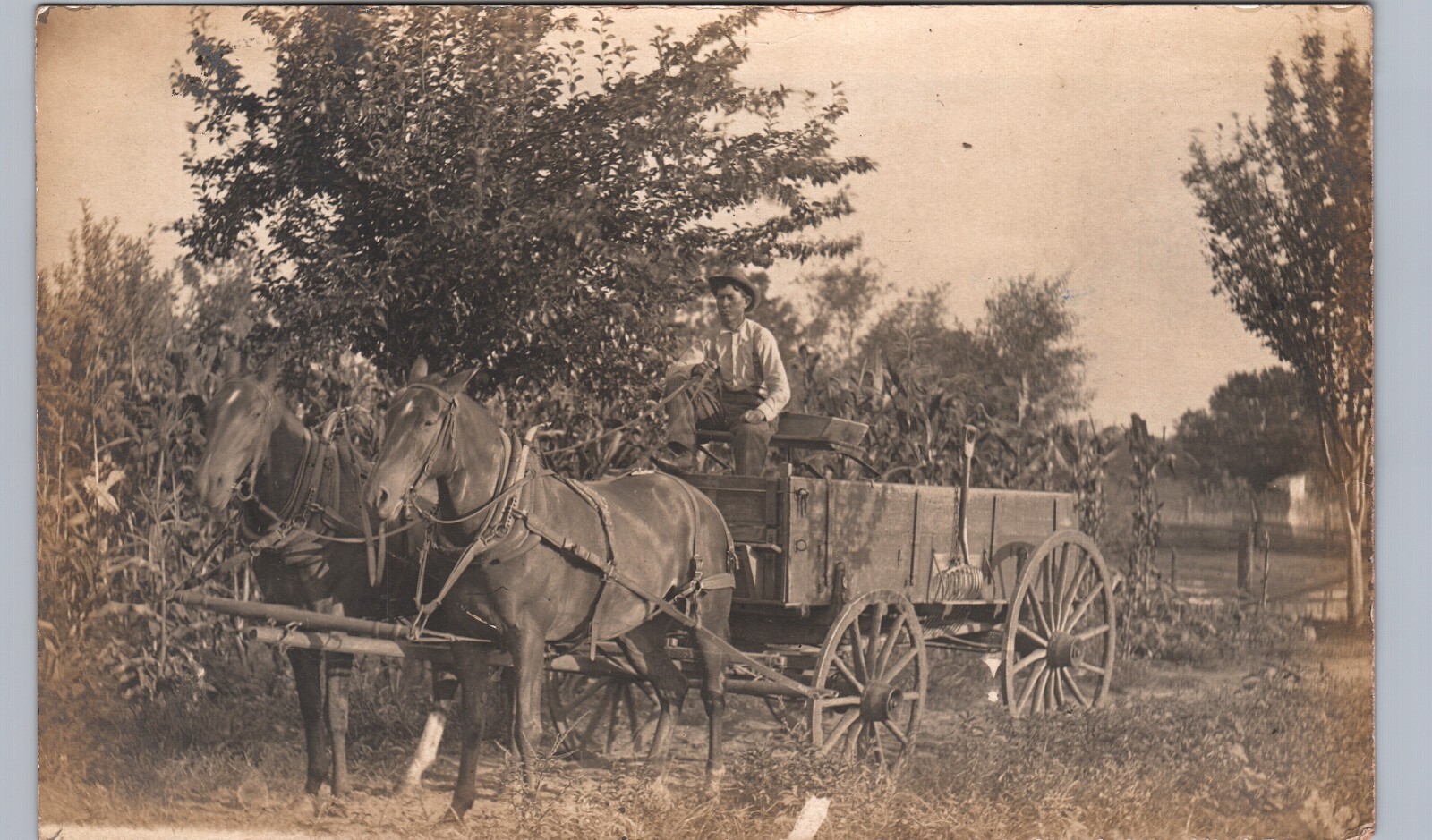FARMER RIDING SPRING WAGON paris tx real photo postcard rppc texas history