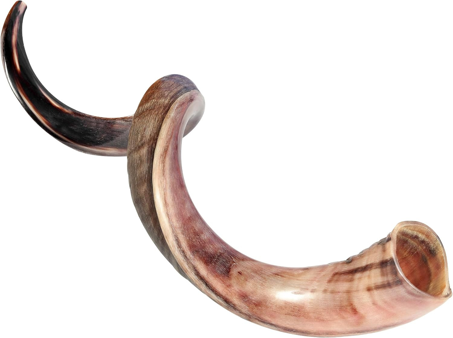 Authentic Kudu Shofar Horn Kosher Israel Half Polished Jewish Judaica Ram Horn
