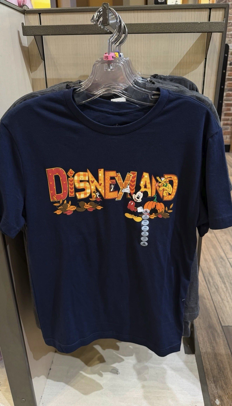 New 2026 Disneyland Resort Navy Fall Mickey T shirt