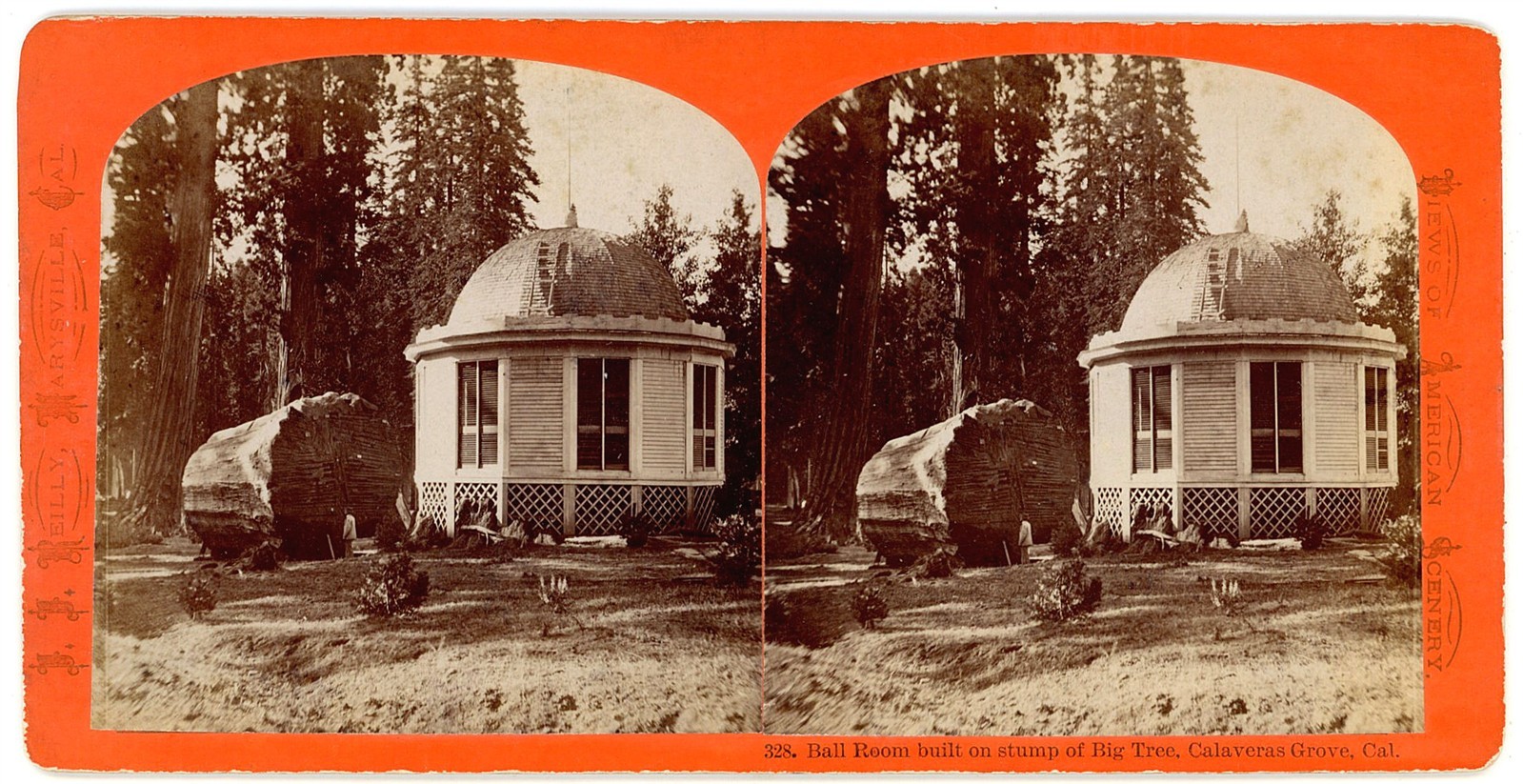 CALIFORNIA STEREOVIEW - Calaveras Grove - Ball Room over Big Tree - JJ Reilly