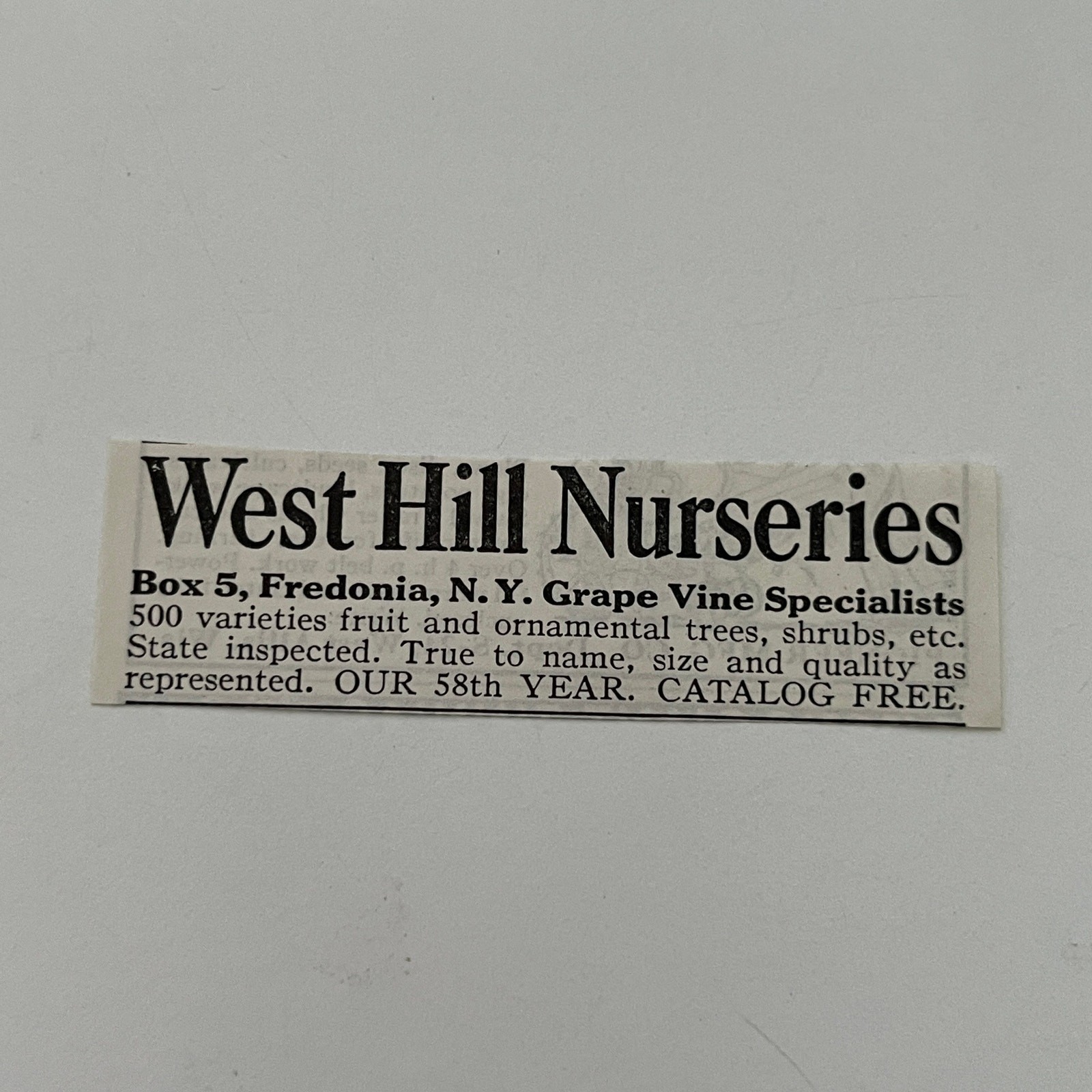 West Hill Nurseries Grape Vine Specialties Fredonia NY 1934 Ad SAH7-S14