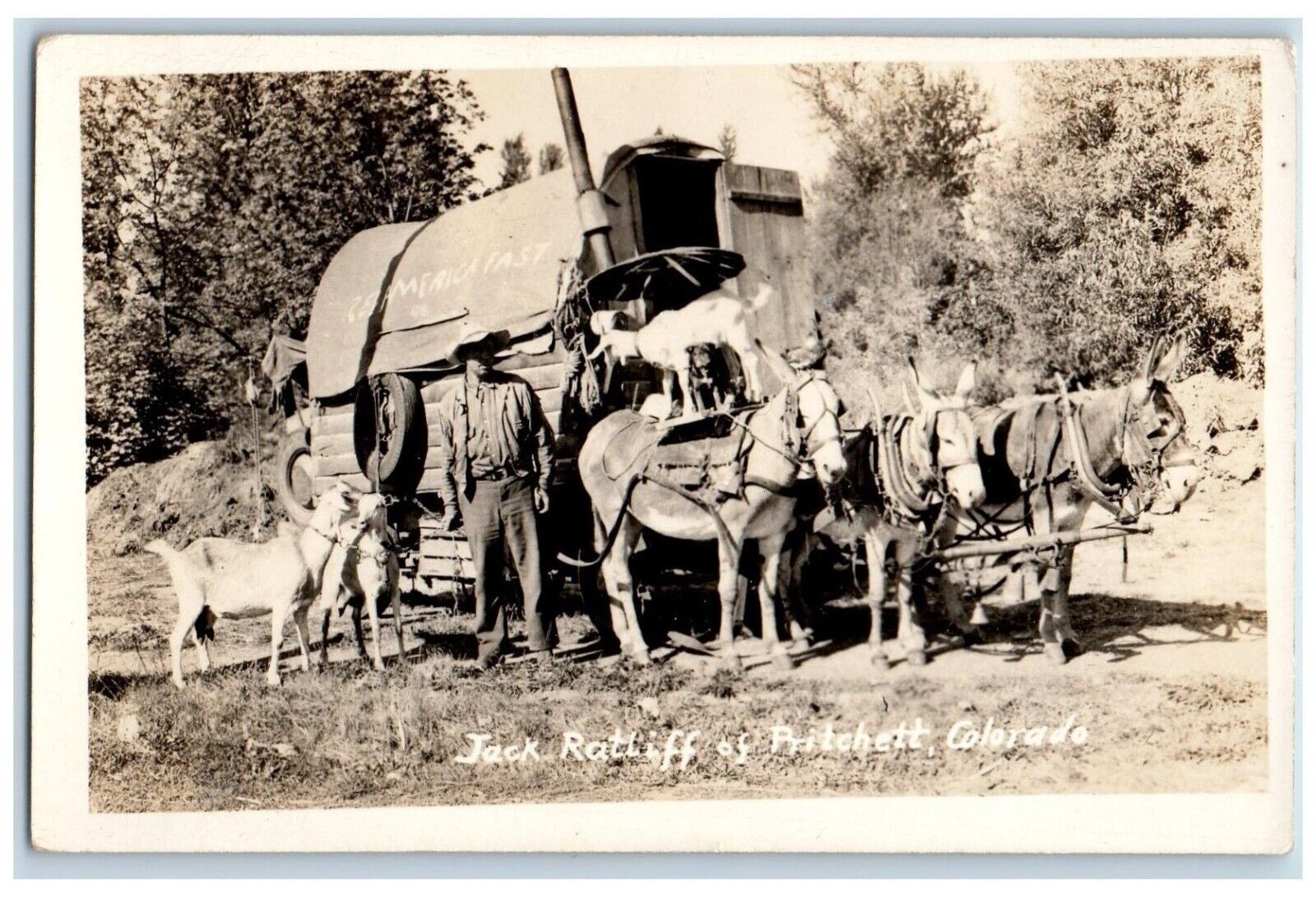 c1940's Jack Ratliff Of Pritchett Colorado CO, Donkeys Goat RPPC Photo Postcard