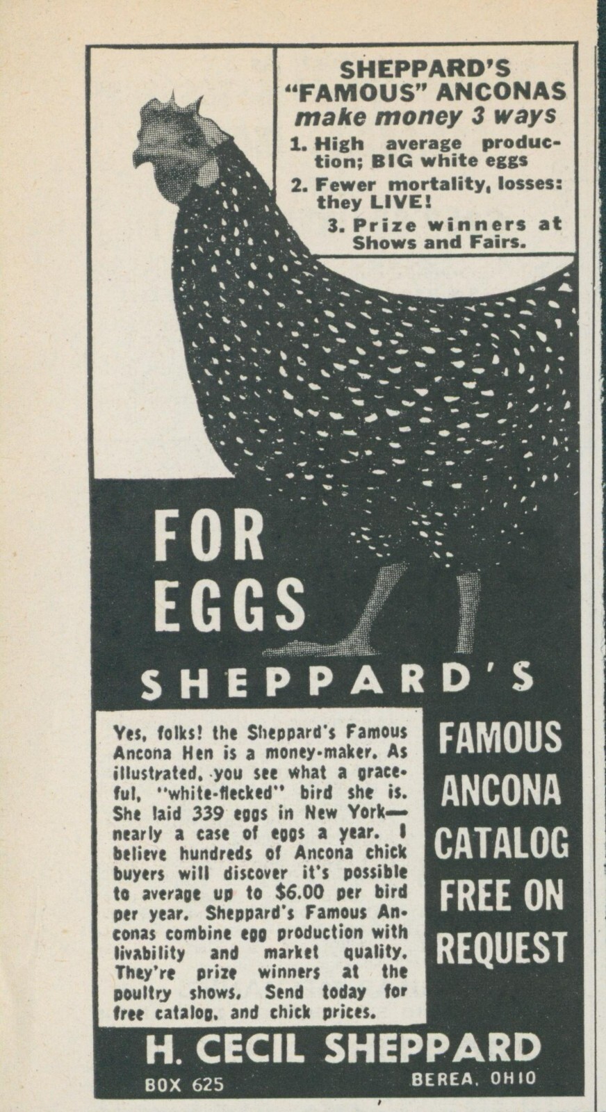 1955 Sheppards Famous Ancona Hen White Flecked Money Maker Vintage Print Ad FJ1