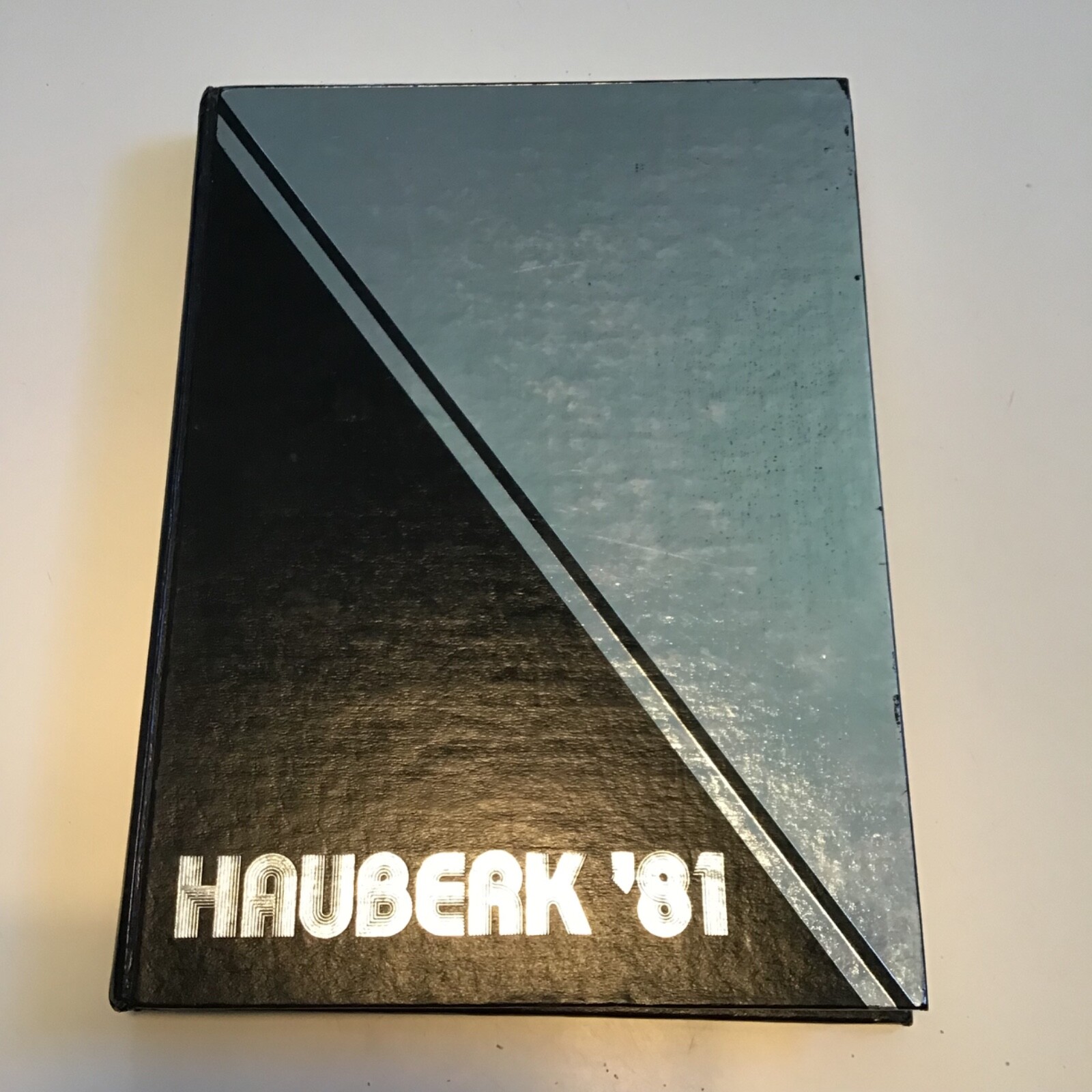 1981 \