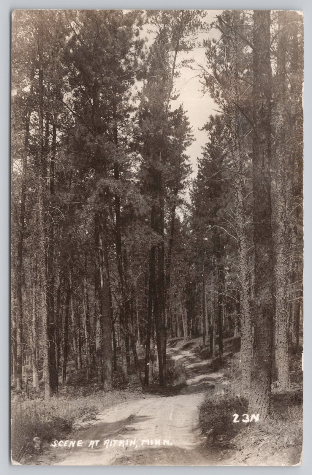 Aitkin Minnesota Scenic Pine Forest Road Real Photo RPPC Black White Postcard