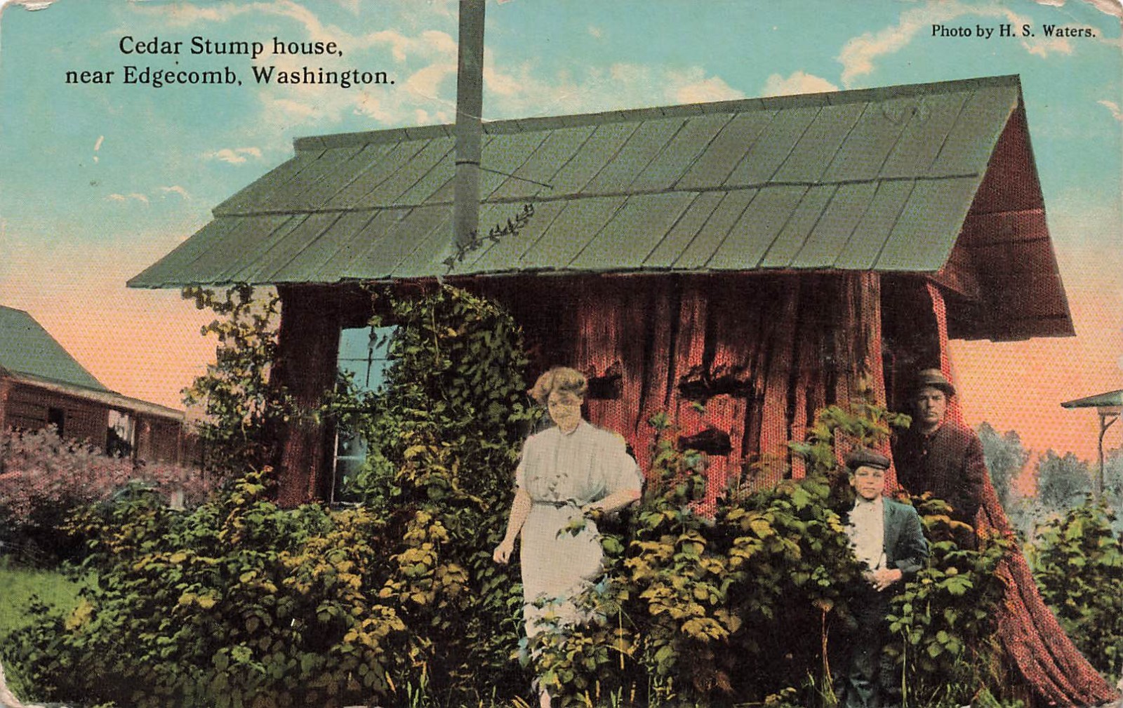 EDGECOMB WA CEDAR STUMP HOUSE 1916 POSTCARD 081626 V