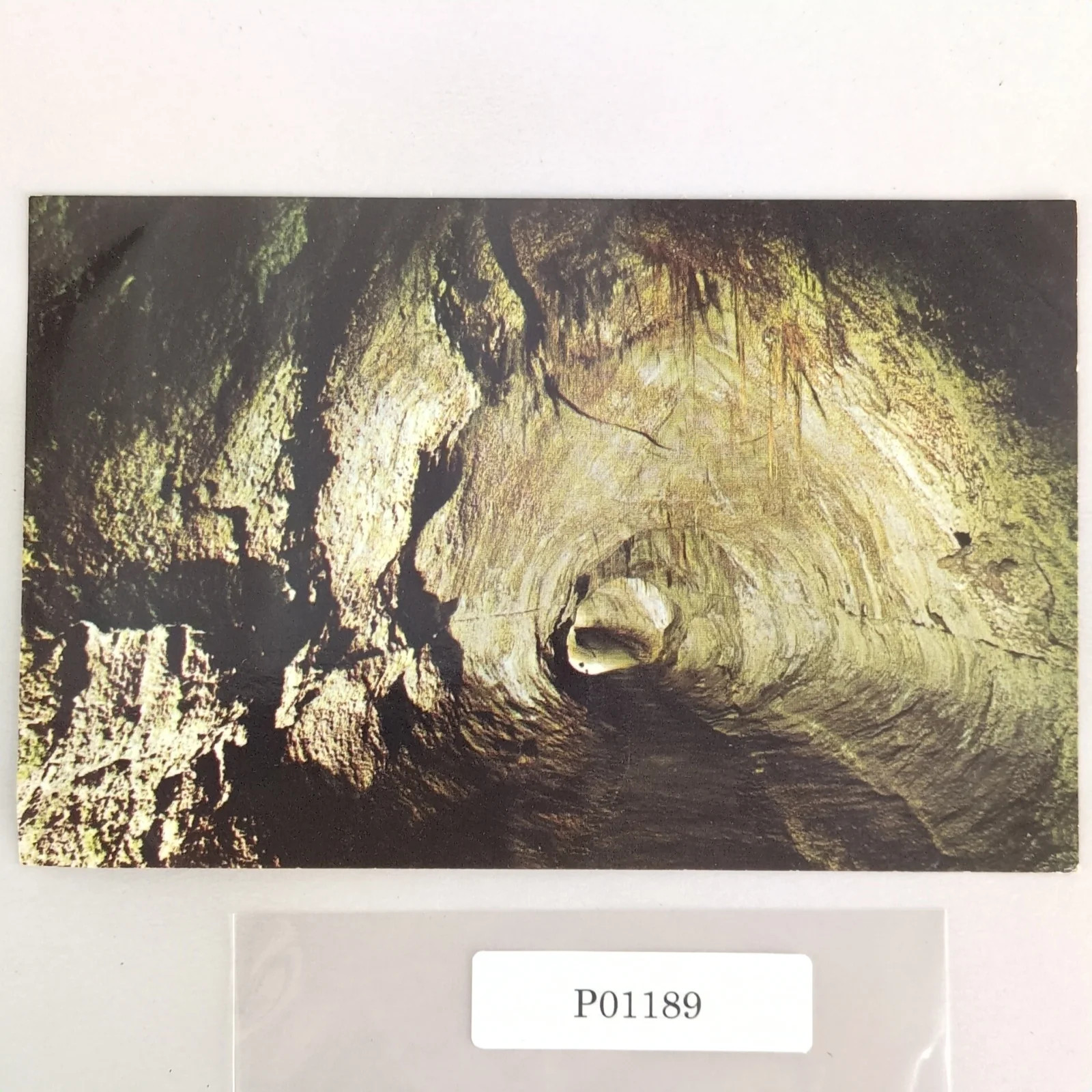 Thurston Lava Tube Hawaii 1960s Postcard HI Volcano National Park