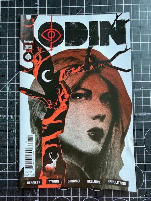 Image If Destruction Be Our Lot /Odin #1 Preview Ashcan Flipbook