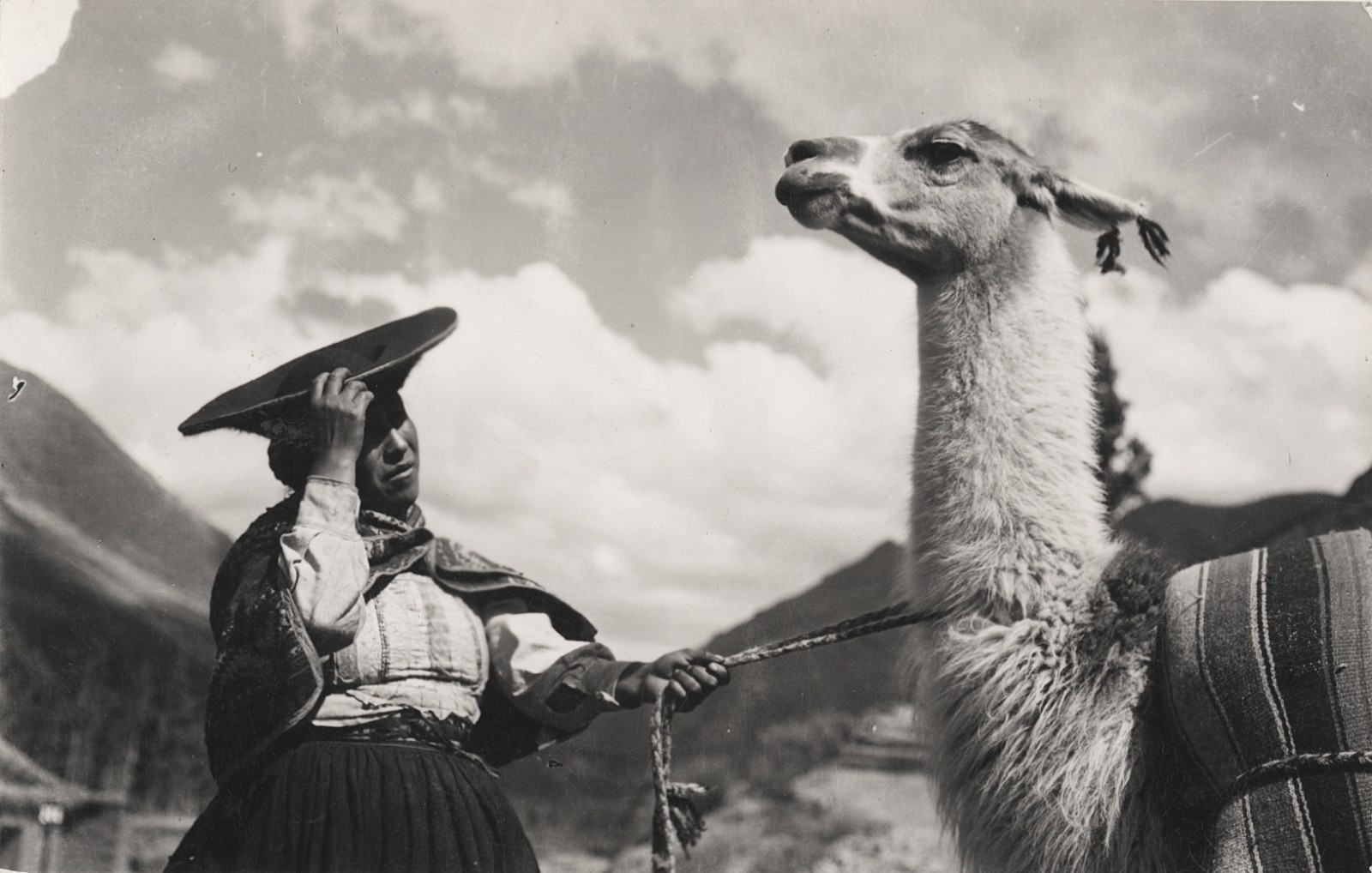 c. 1940's Indigenous Andean Woman with Llama, Peru RPPC by Martin Chambi Jiménez