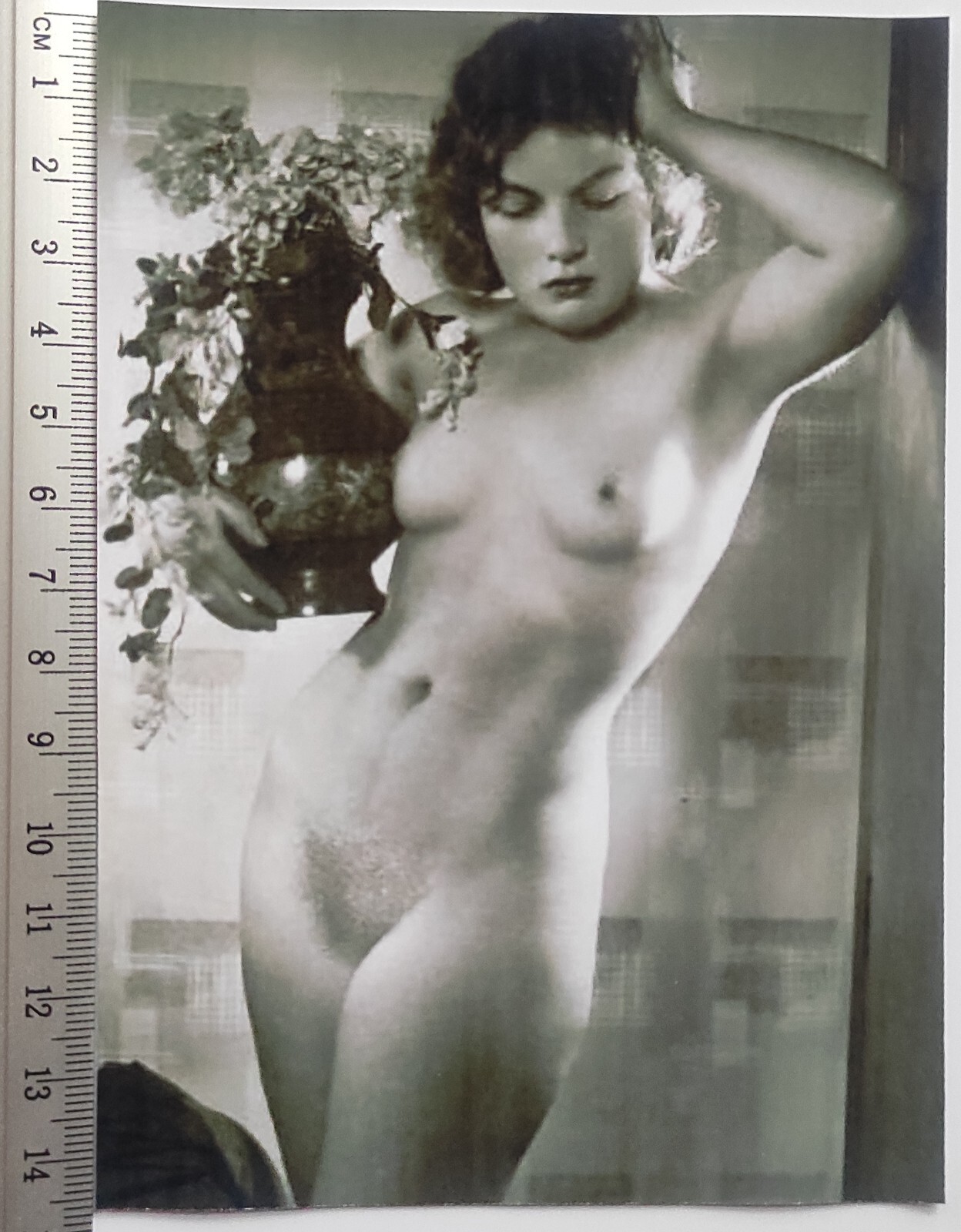 100*Vintage Pin Up Girls photo black - white
