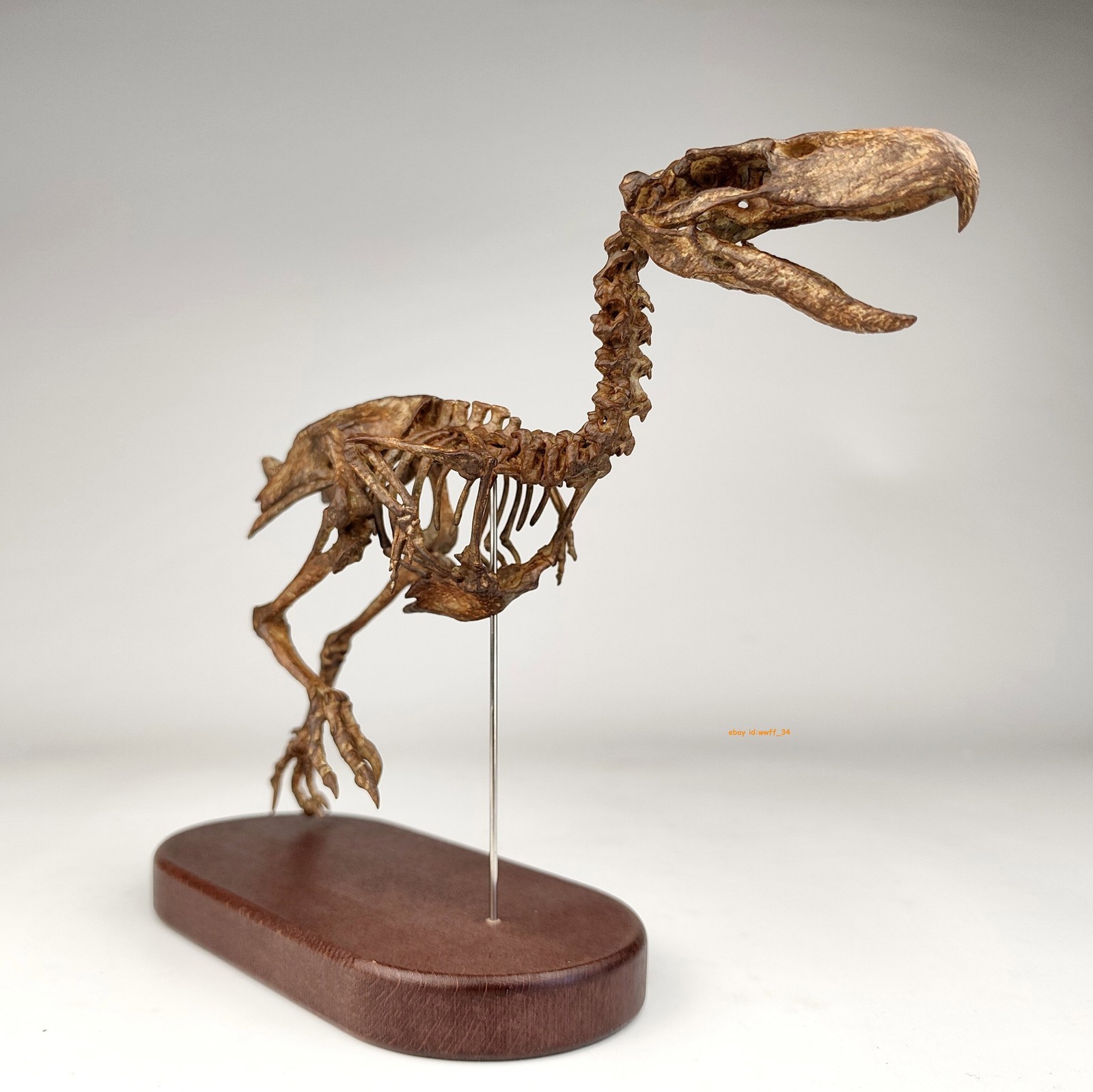 1/10 Kelenken Terror Bird Skeleton Fossil Statue 3D Print Animal Display Model