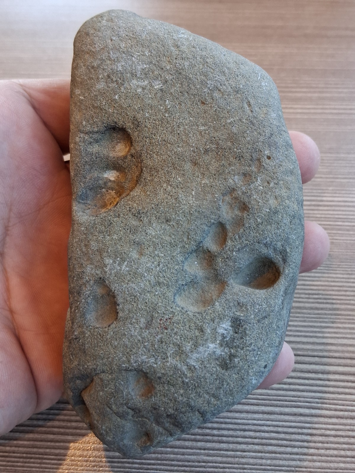 Sinew Stone Abrading Stone Museum Quality Indian Artifacts Pre Historic