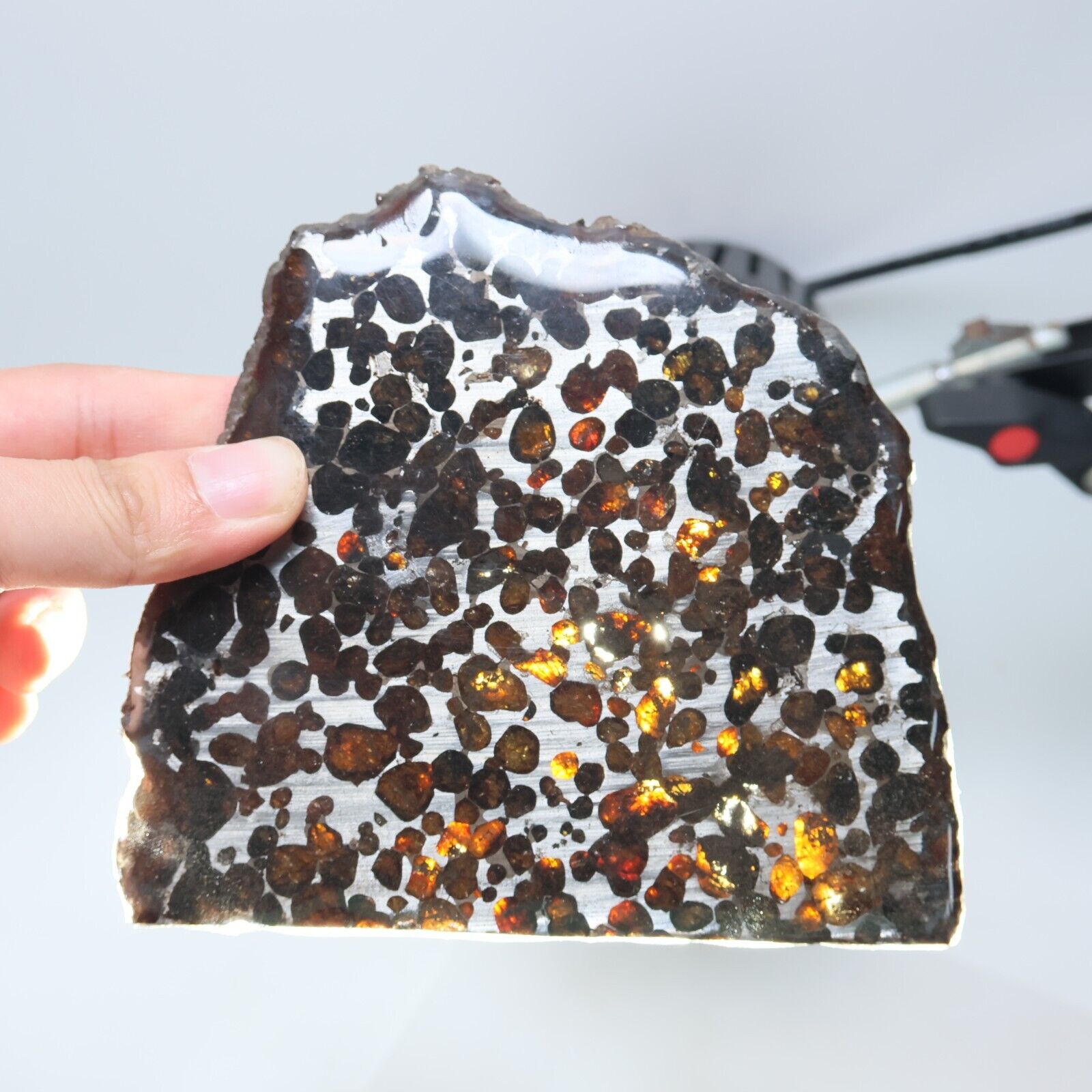 164g Beautiful SERICHO pallasite Meteorite slice - from Kenya C6300